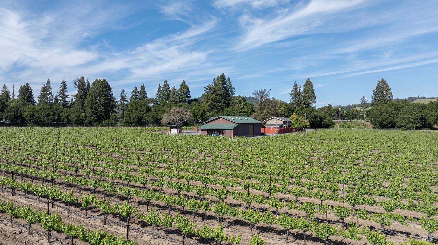Healdsburg, CA 95448,374 Kinley DR