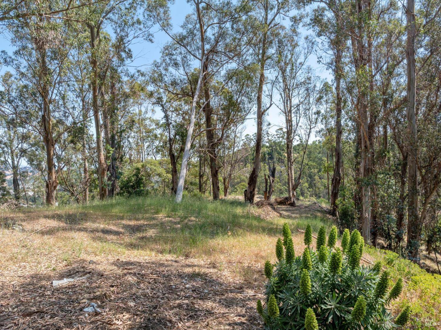 San Rafael, CA 94901,0 Chula Vista DR