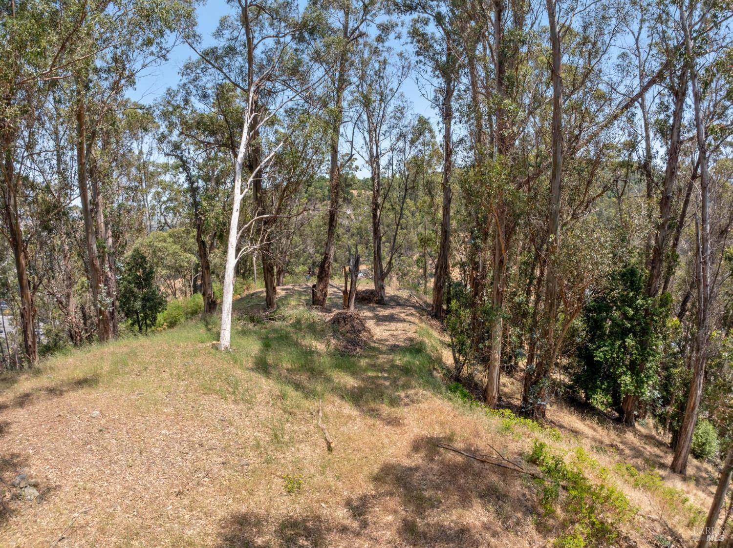 San Rafael, CA 94901,0 Chula Vista DR