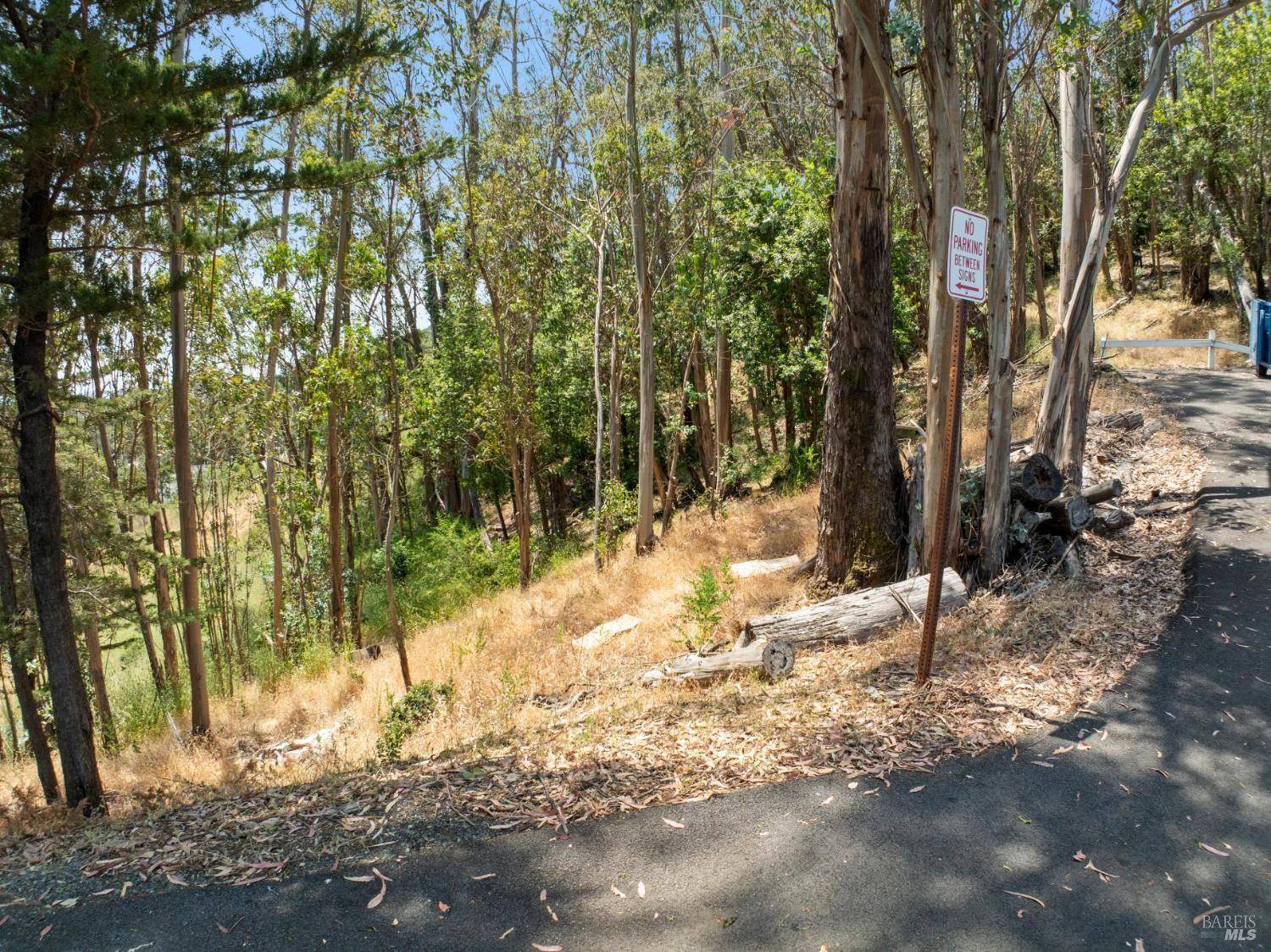 San Rafael, CA 94901,0 Chula Vista DR