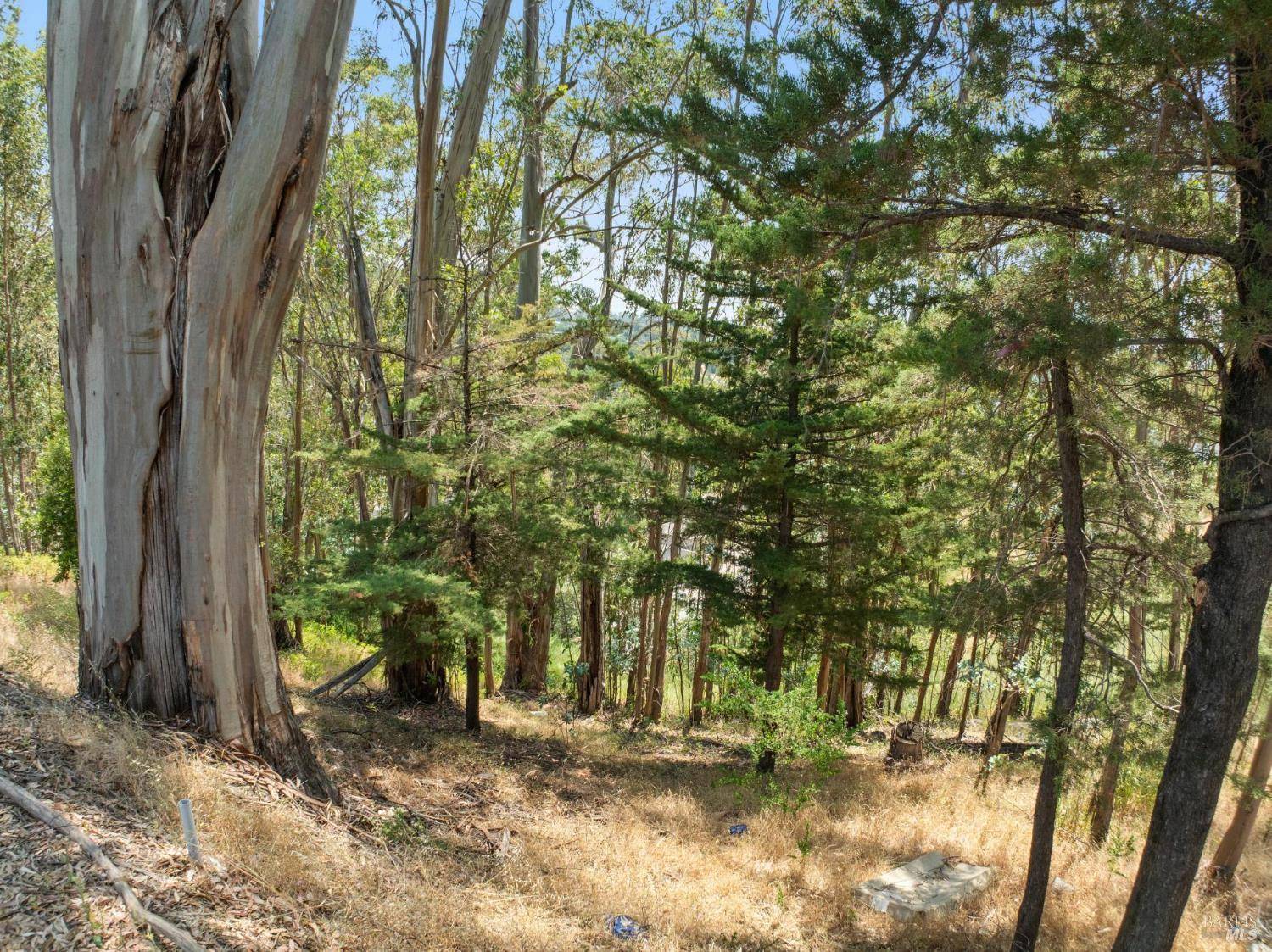 San Rafael, CA 94901,0 Chula Vista DR