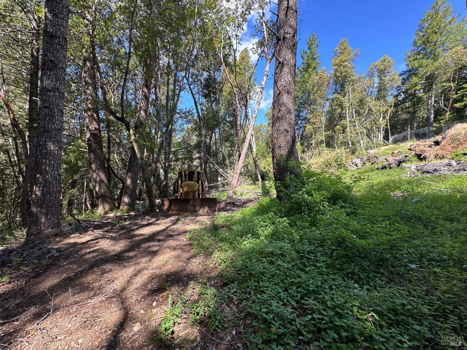 Leggett, CA 95585,0 Little Dan Creek RD