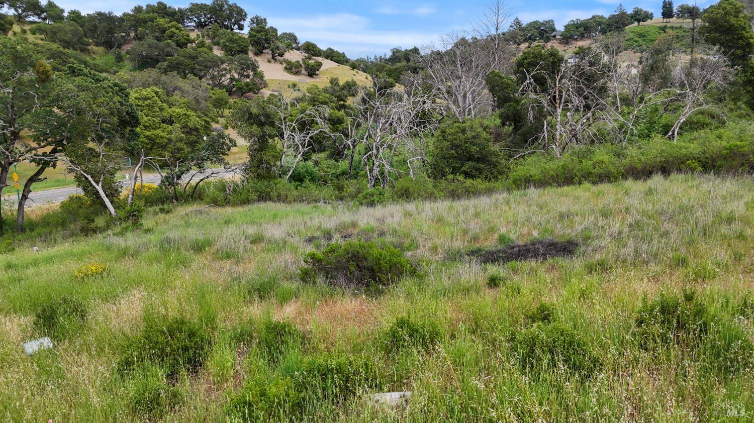 Santa Rosa, CA 95403,3959 Graystone PL