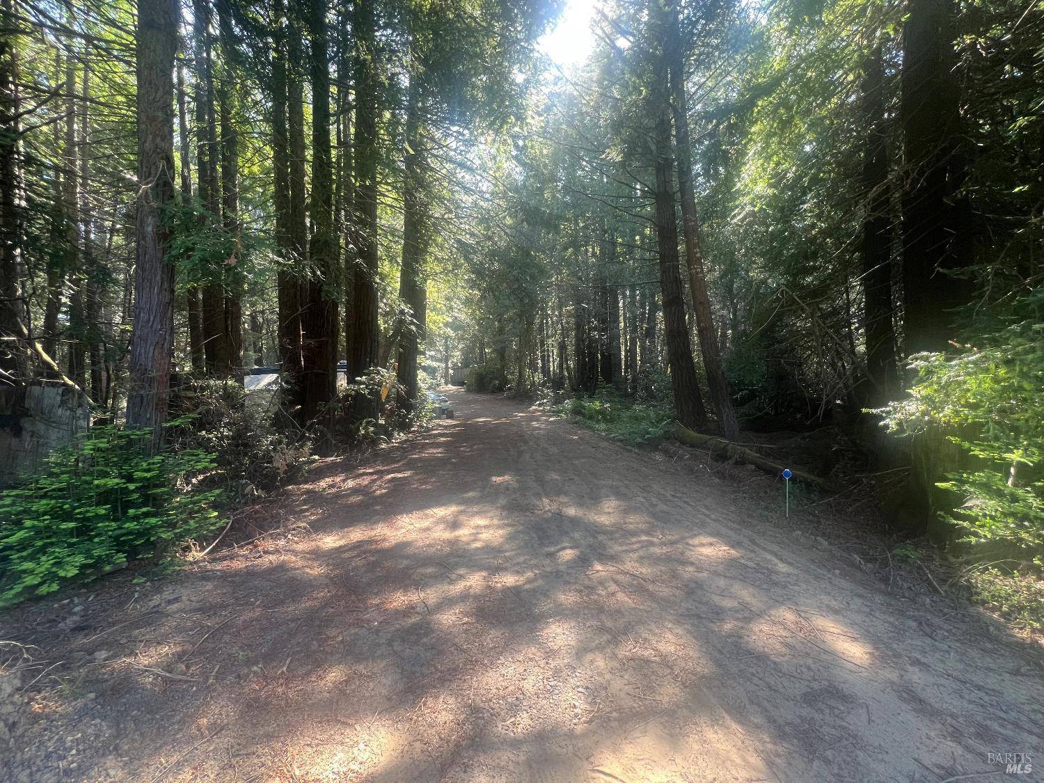 Gualala, CA 95445,29530 Ten Mile Cut Off RD