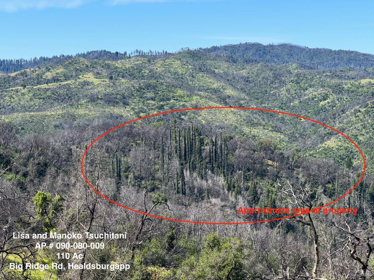 Healdsburg, CA 95448,0 Big Ridge RD