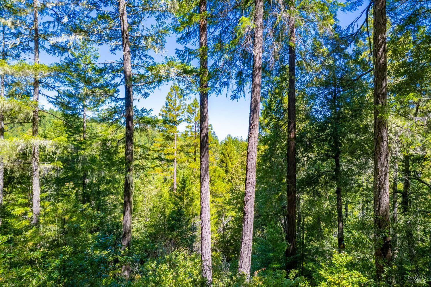 Boonville, CA 95415,0 16125 Honey Ridge RD