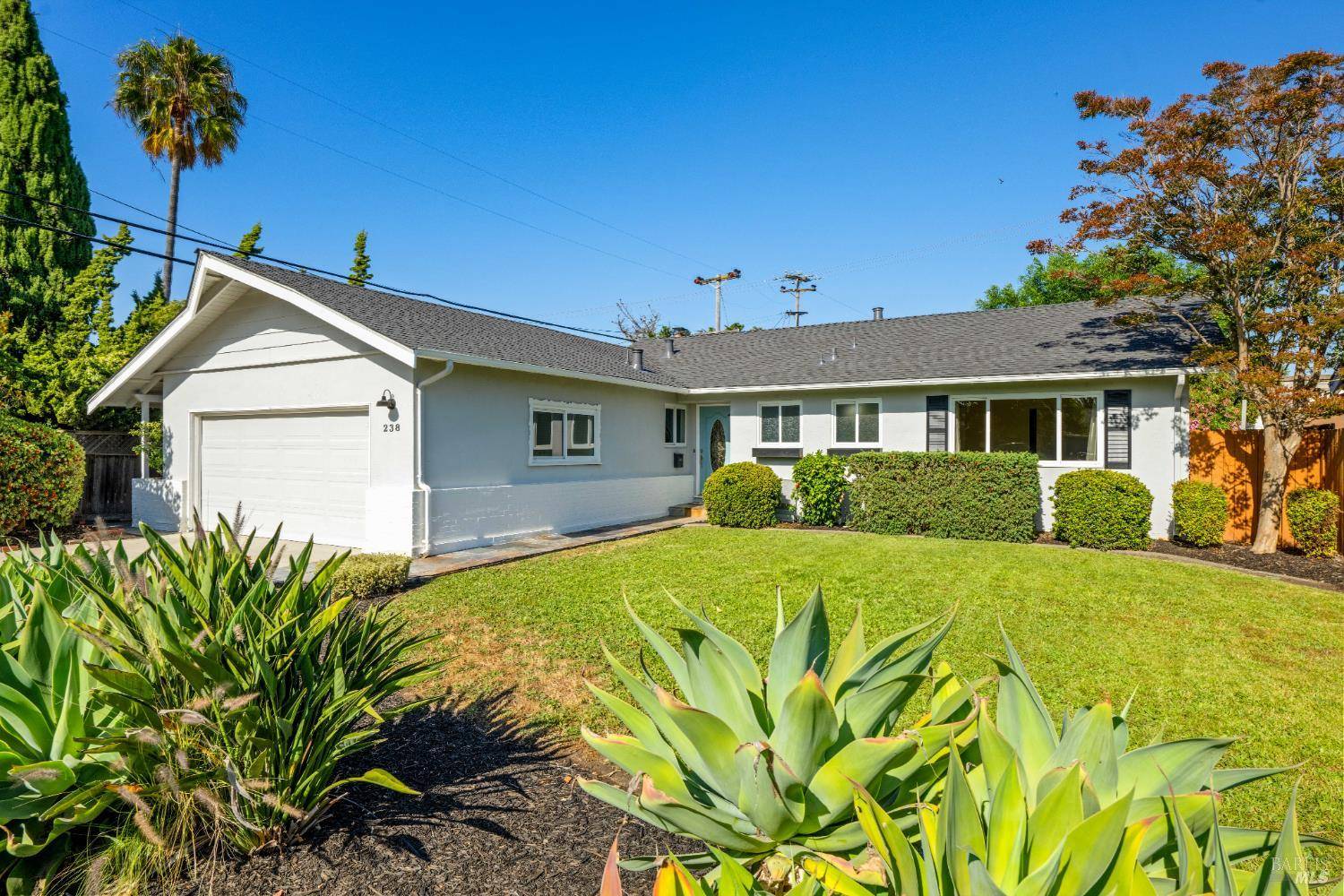 Vallejo, CA 94589,238 Ebbetts Pass RD