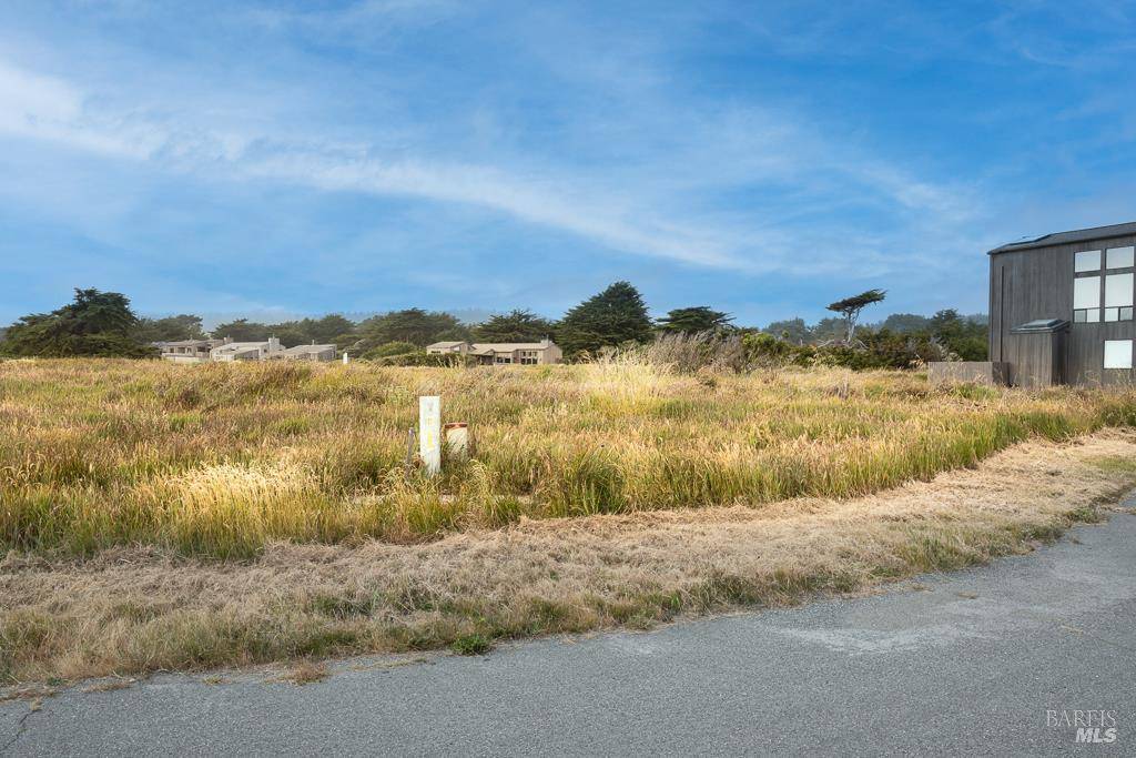 The Sea Ranch, CA 95497,42080 Rock Cod