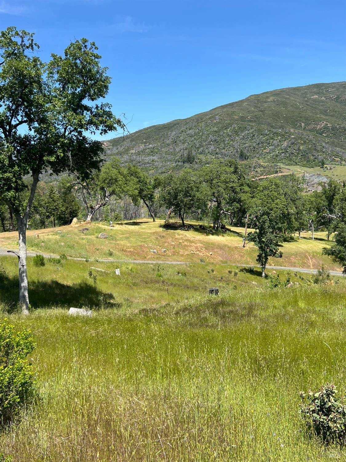 Upper Lake, CA 95485,12609 Elk Mountain RD