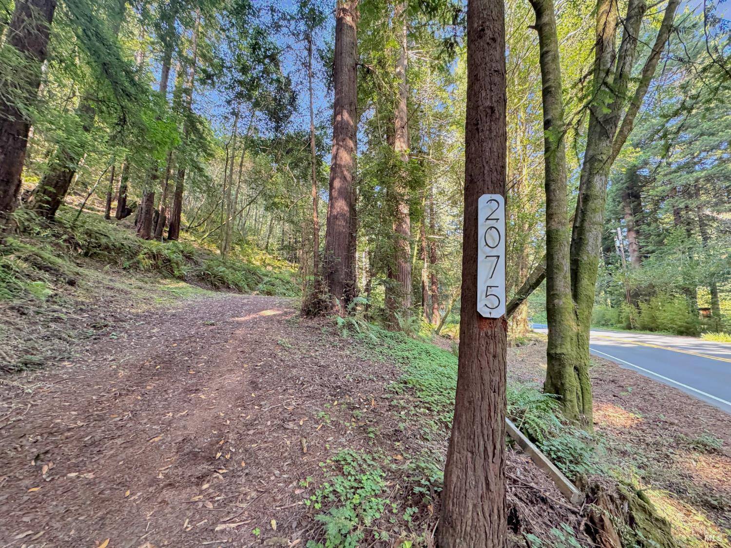 Cazadero, CA 95421,2075 Cazadero HWY