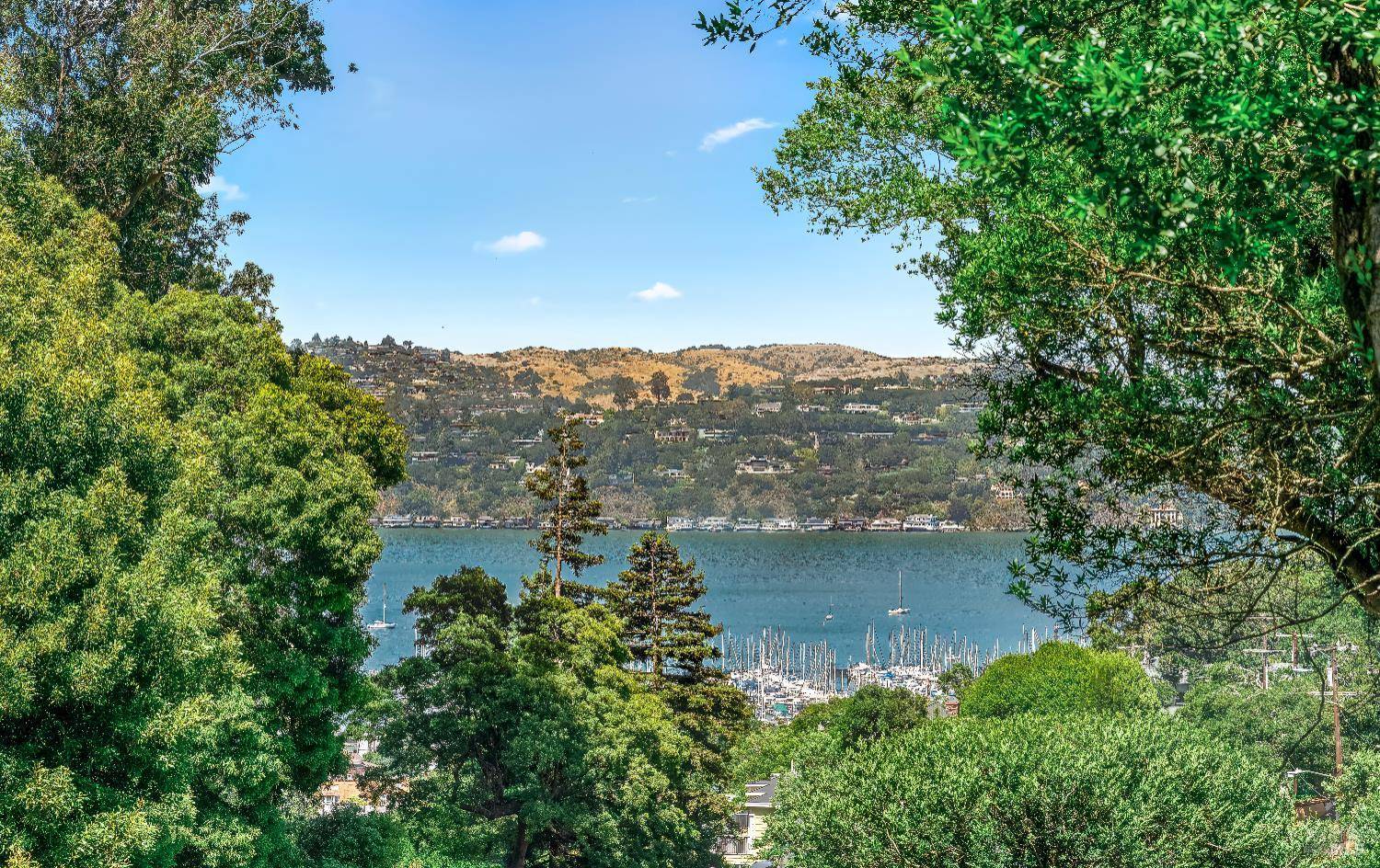 Sausalito, CA 94965,264 Santa Rosa AVE