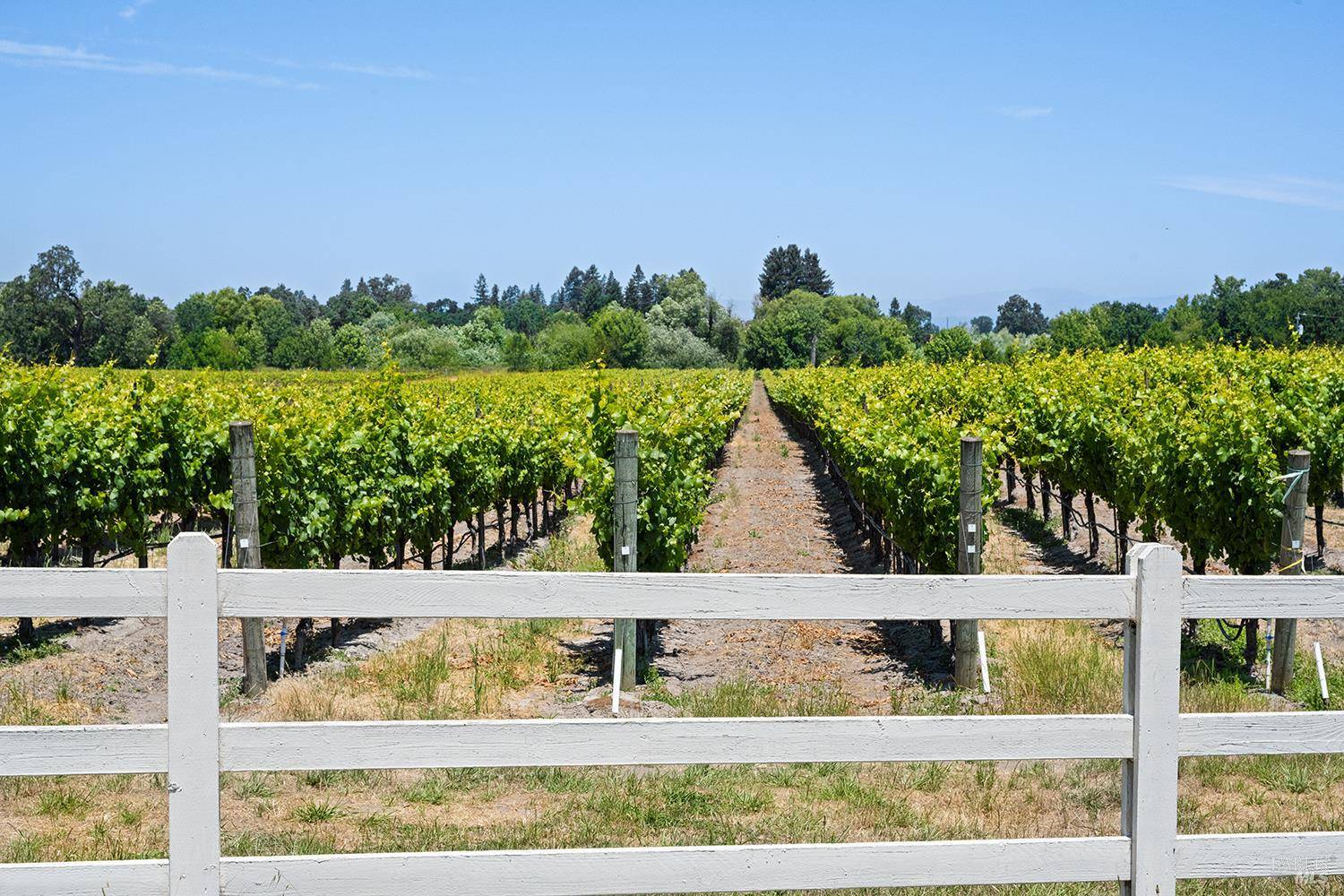 Santa Rosa, CA 95401,5505 Bravo Toro LN