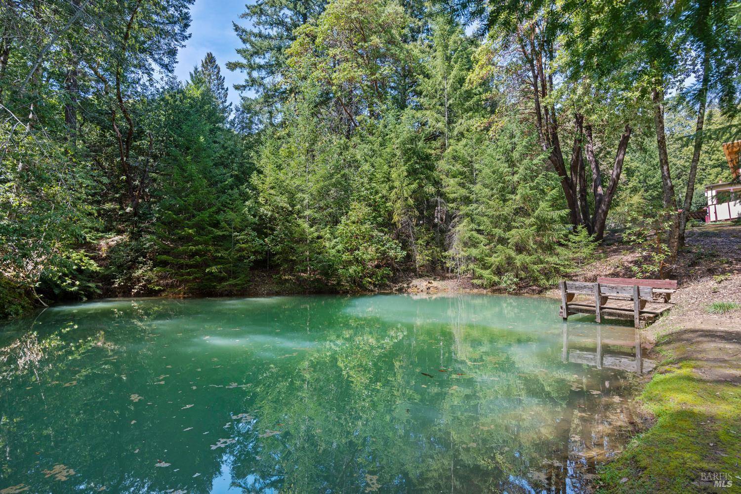 Willits, CA 95490,29301 Timberline RD