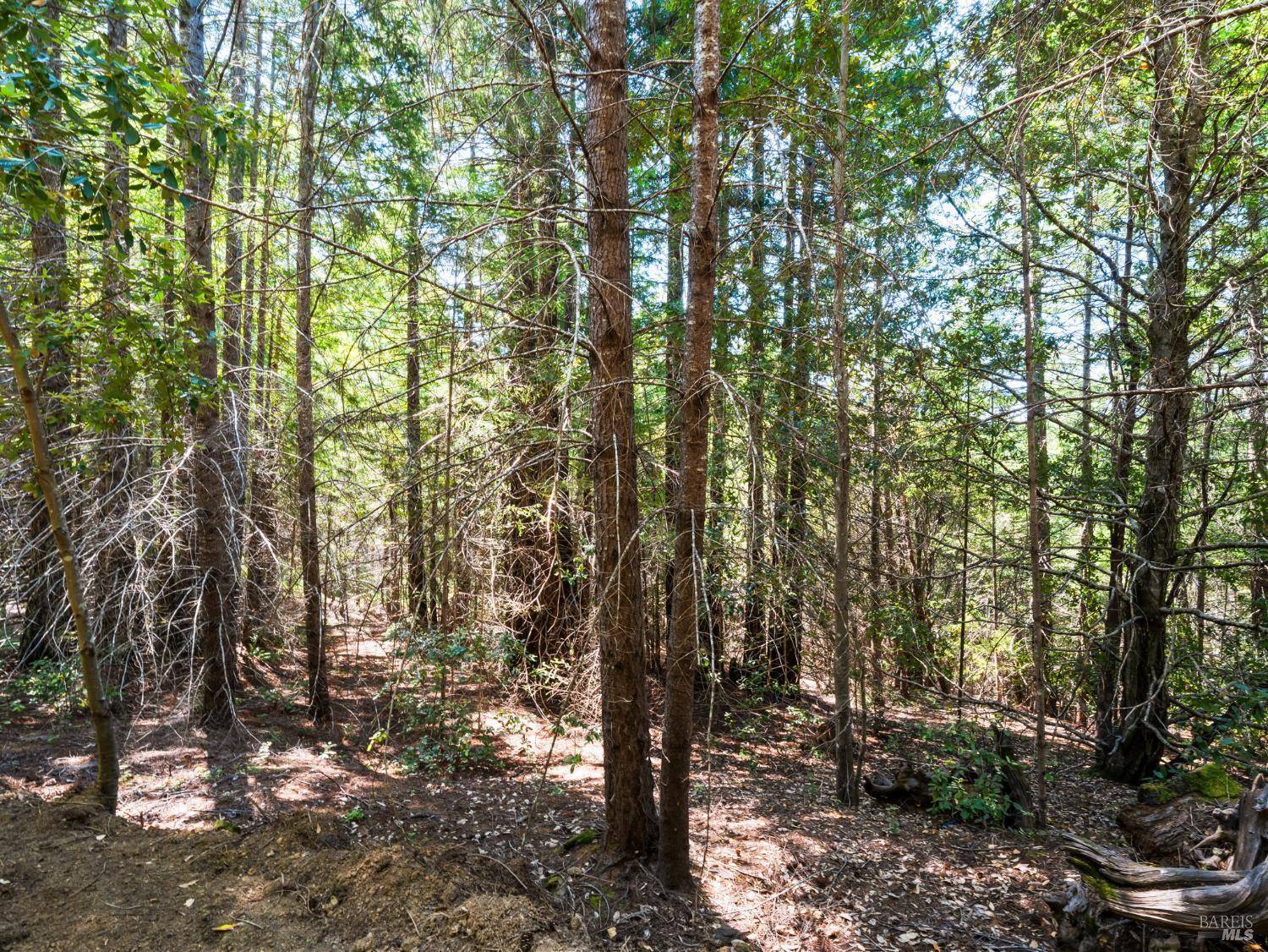 Philo, CA 95466,0 Panorama WAY
