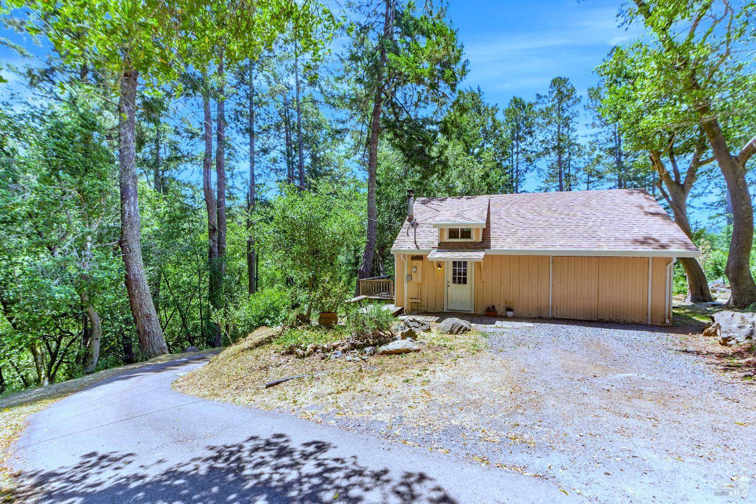 Occidental, CA 95465,16880 Coleman Valley RD