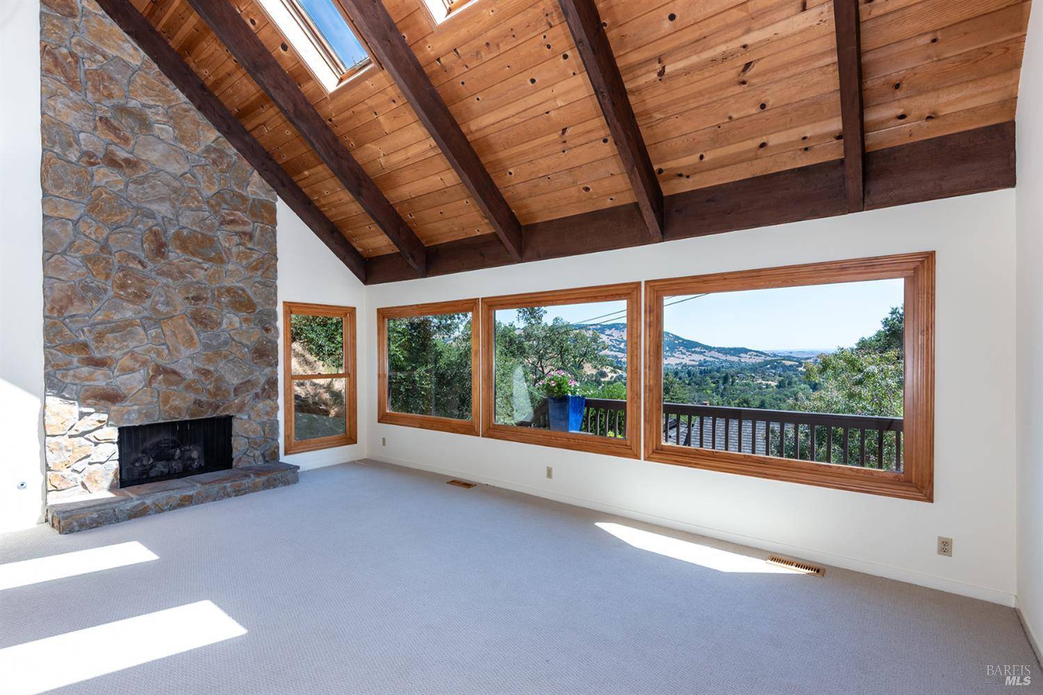 Novato, CA 94947,50 Palomino CIR