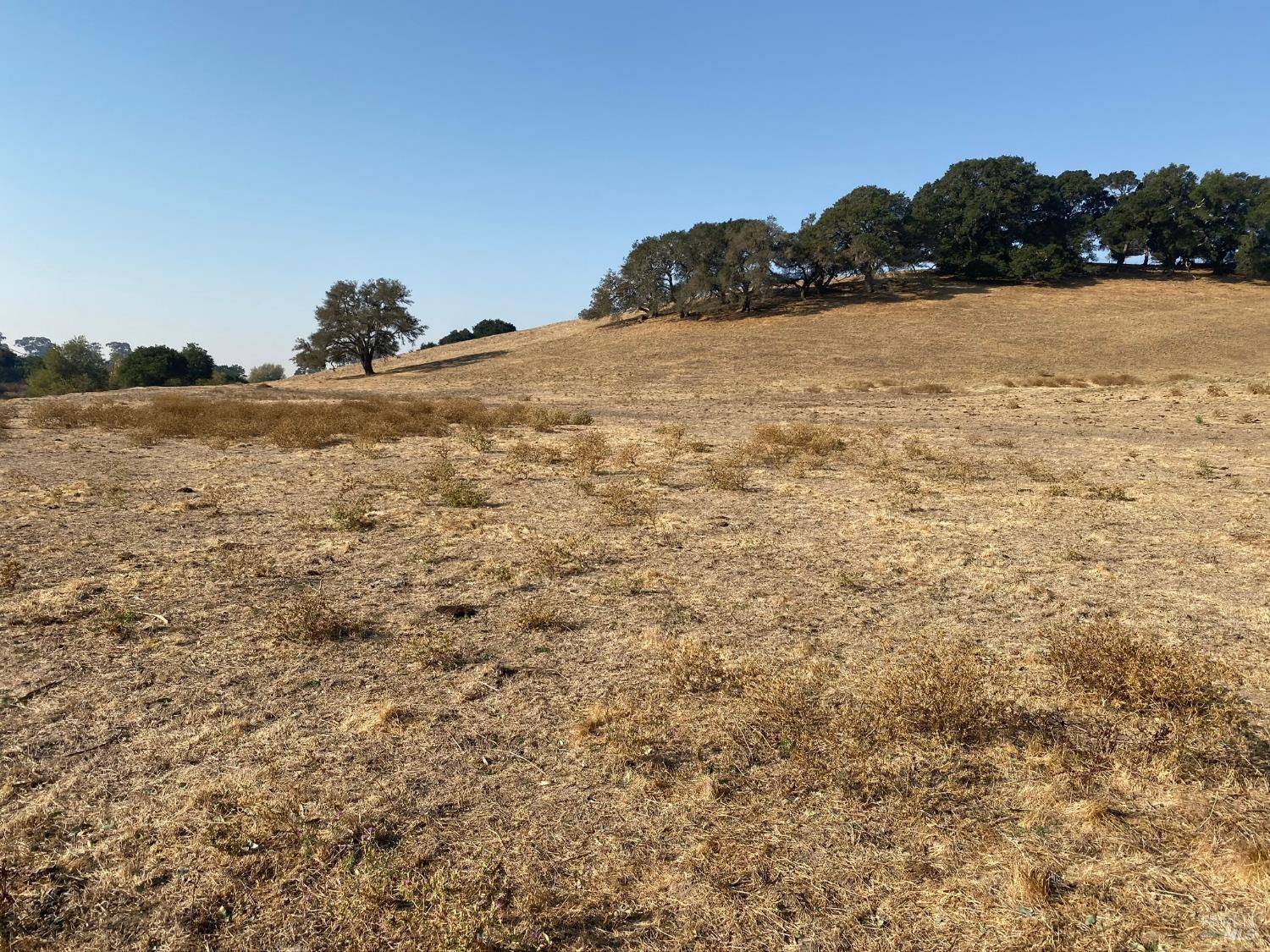 Napa, CA 94558,0 Foster RD