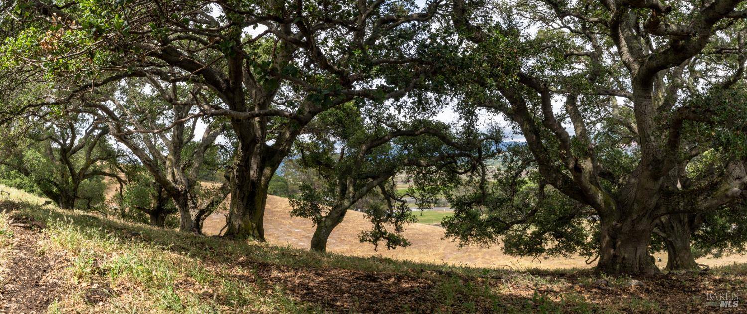 Napa, CA 94558,0 Foster RD