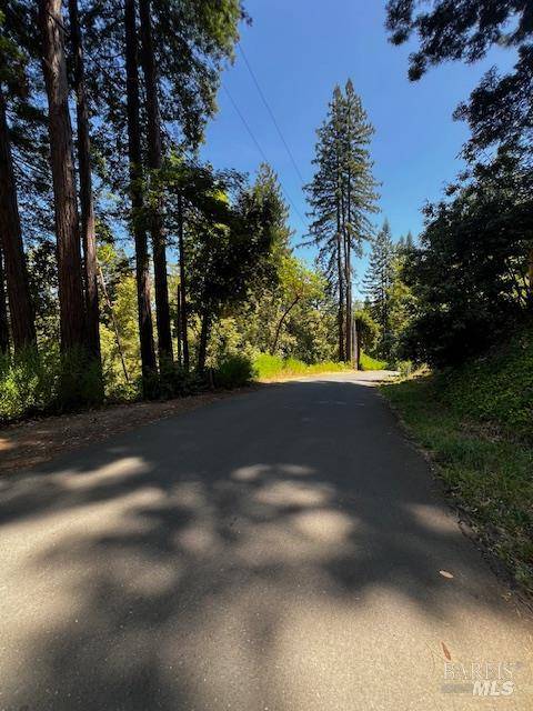 Guerneville, CA 95446,17599 Woods AVE