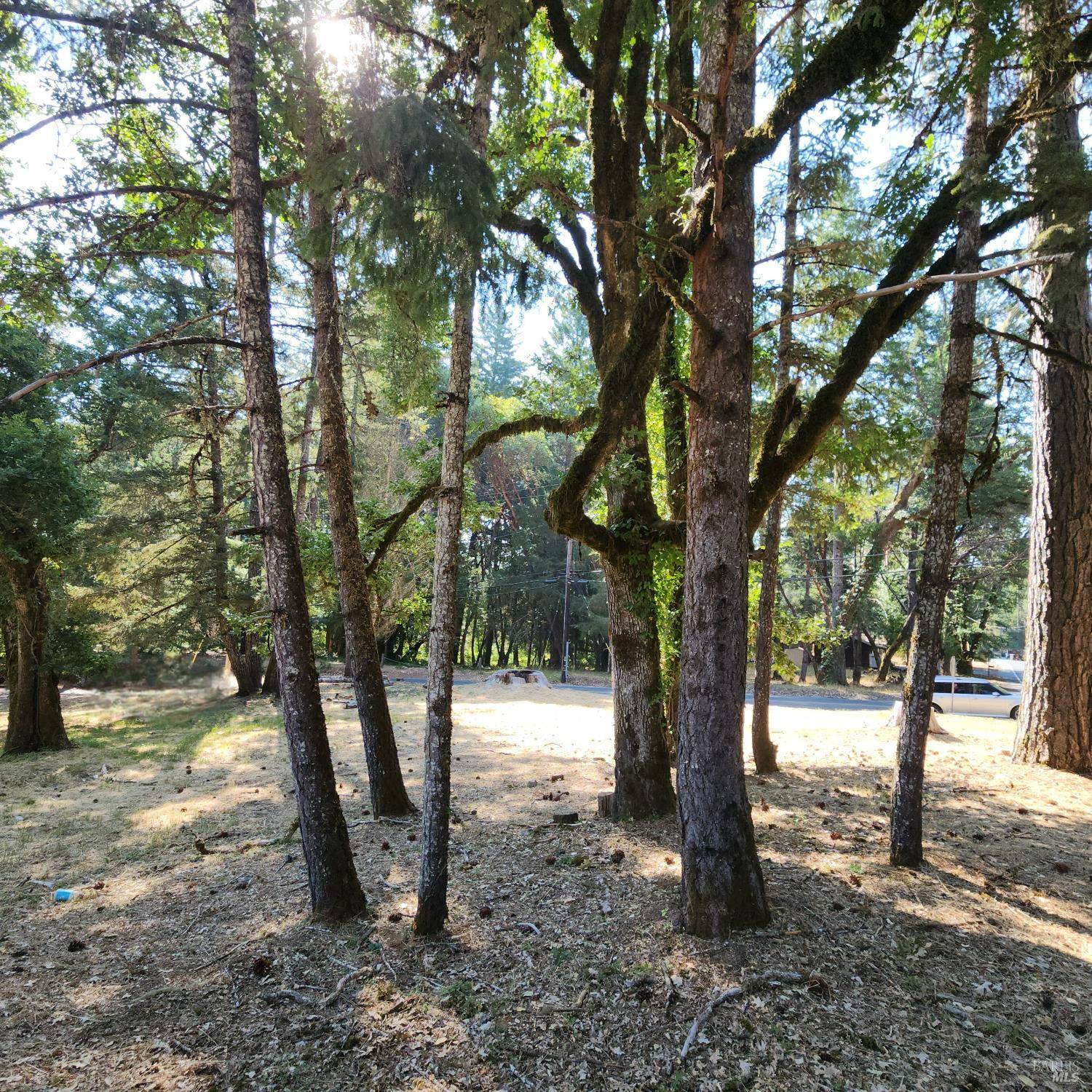 Willits, CA 95490,25331 Sherwood RD