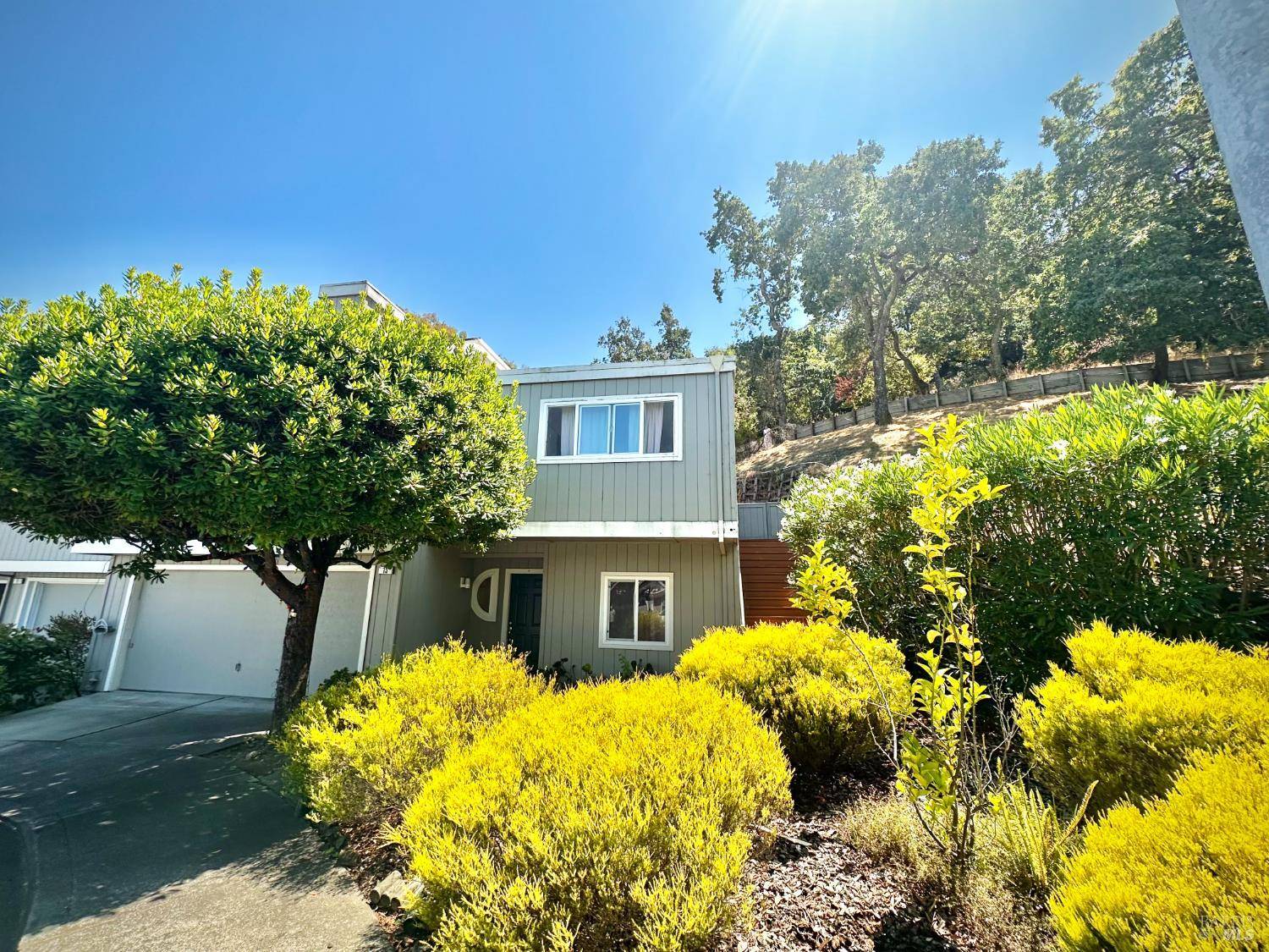 Novato, CA 94949,13 Madrid CT