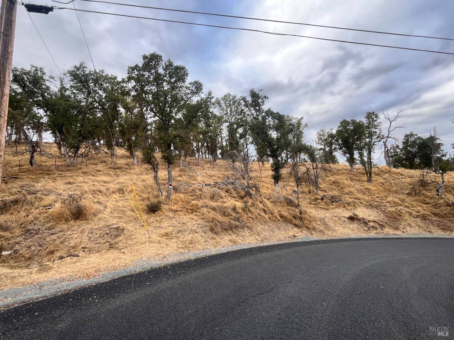 Lower Lake, CA 95457,9429 Copsey Creek WAY