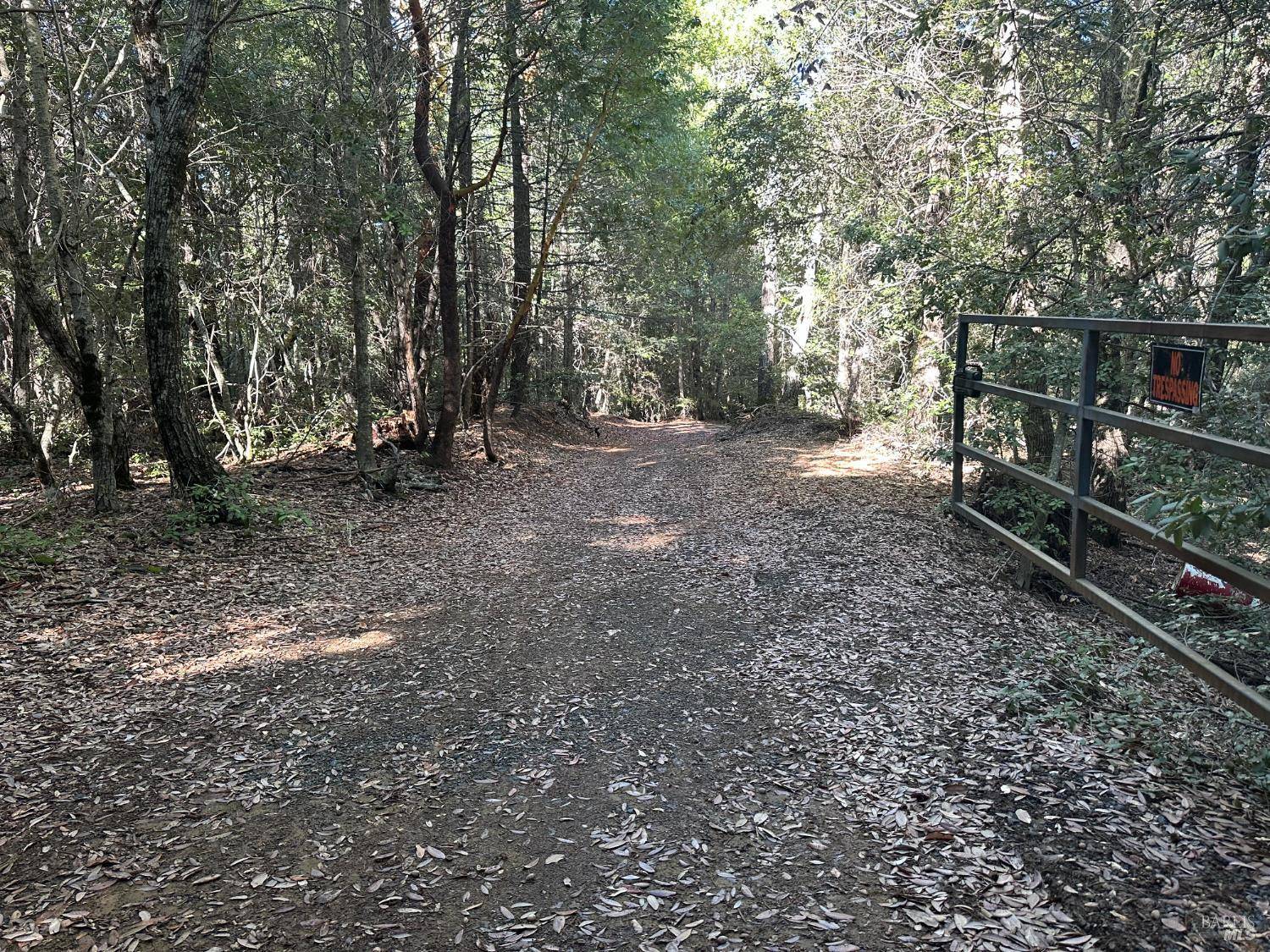 Laytonville, CA 95454,51901 Stivers RD