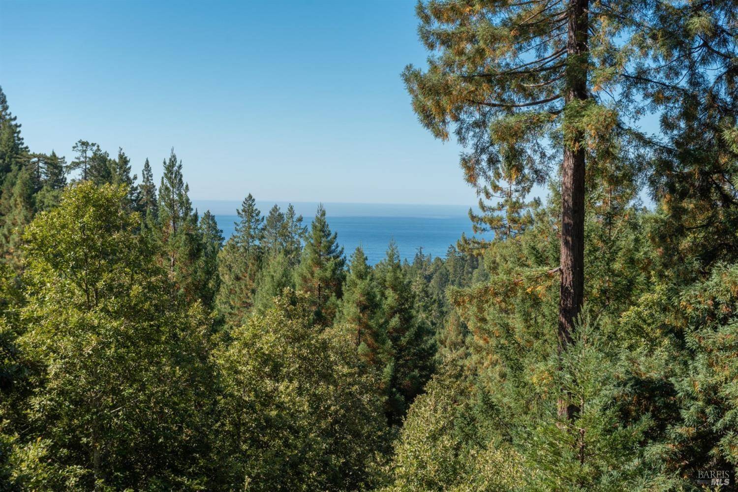 Gualala, CA 95445,38120 Ocean Ridge DR