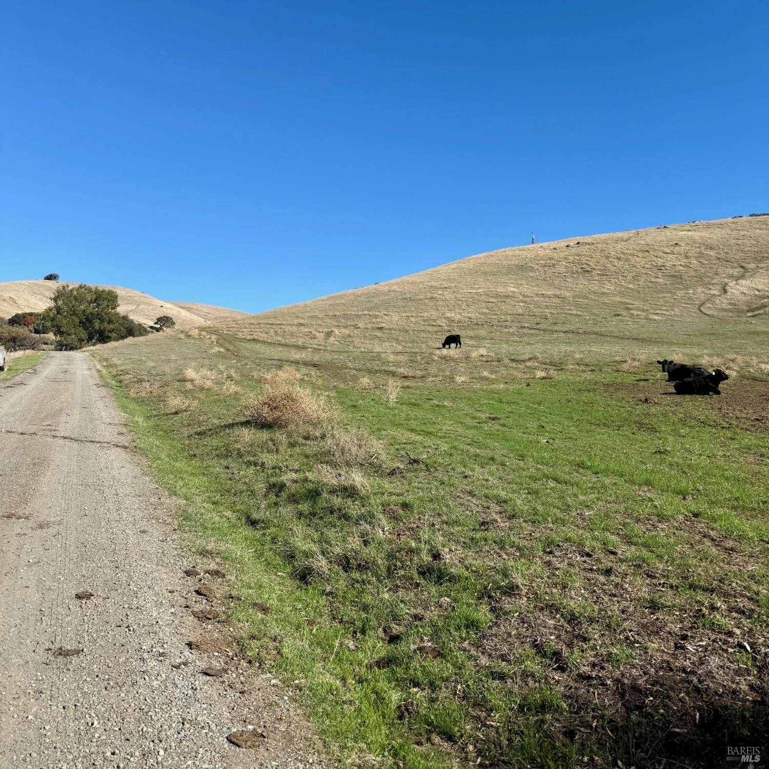 Fairfield, CA 94533,3864 Paradise Valley RD