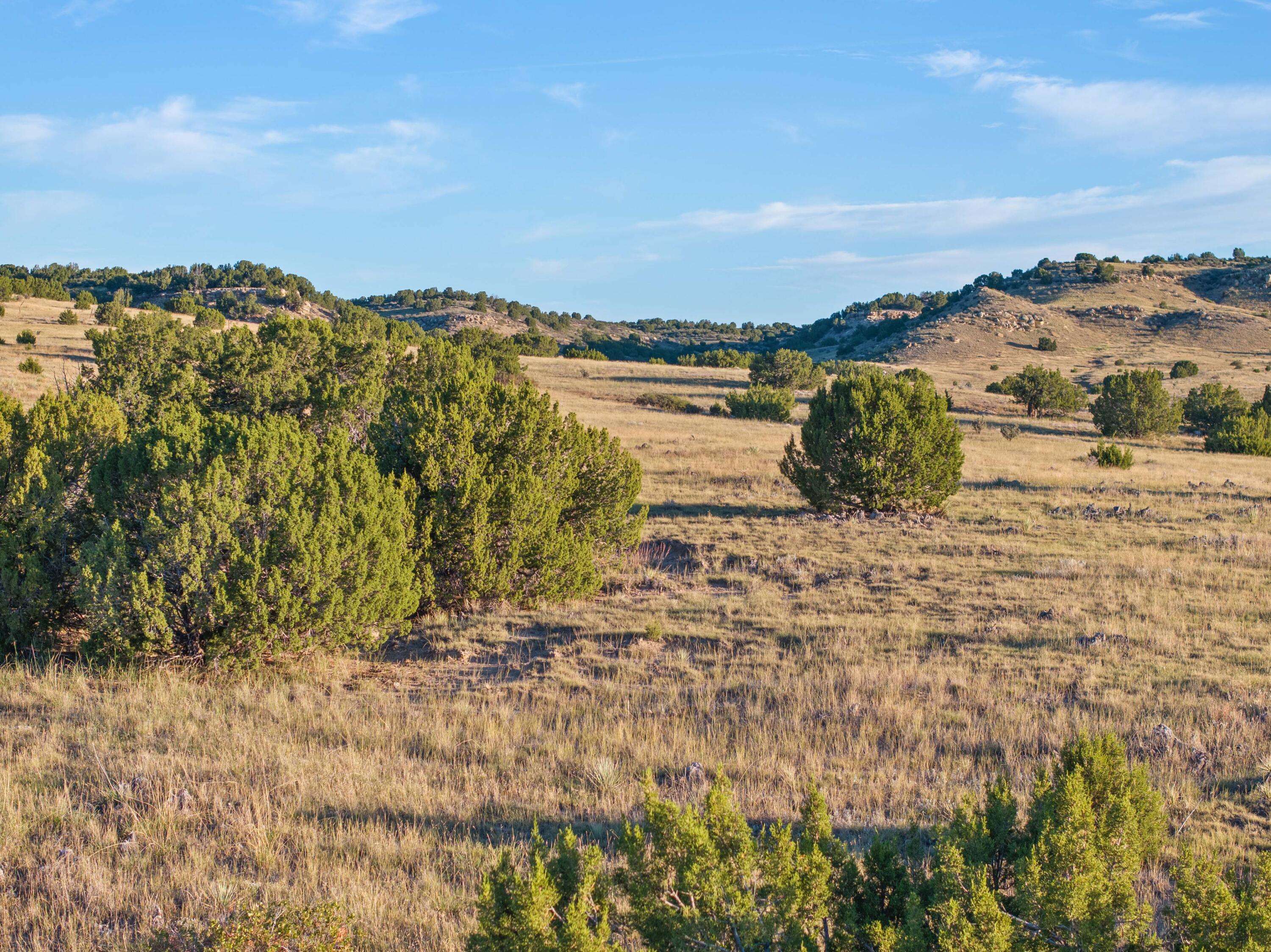 Rye, CO 81069,TBD YELLOW BIRD Rd