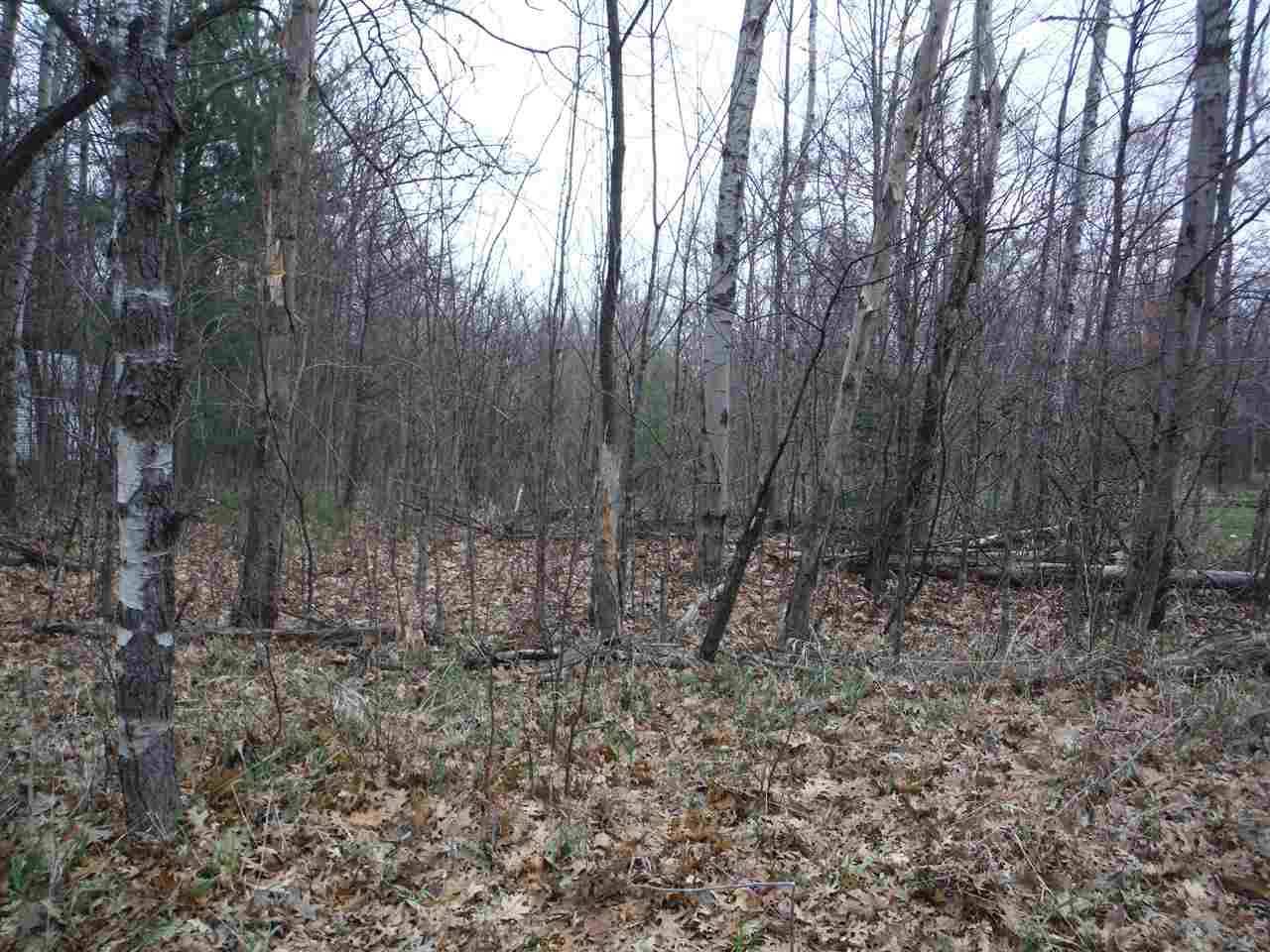 Prudenville, MI 48651,XXX Indian Oaks Lot 22