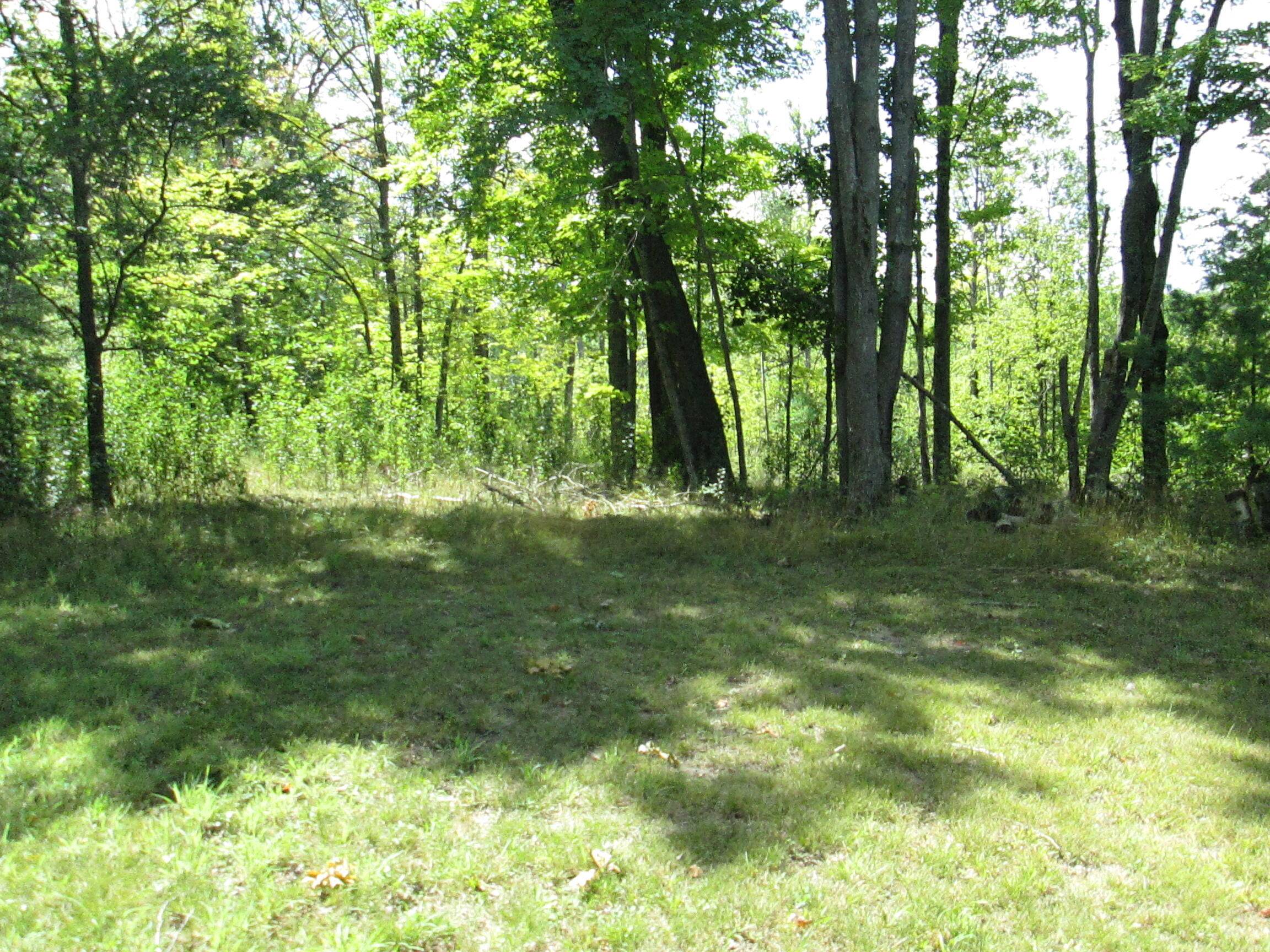 Comins, MI 48619,1810 Richard RD