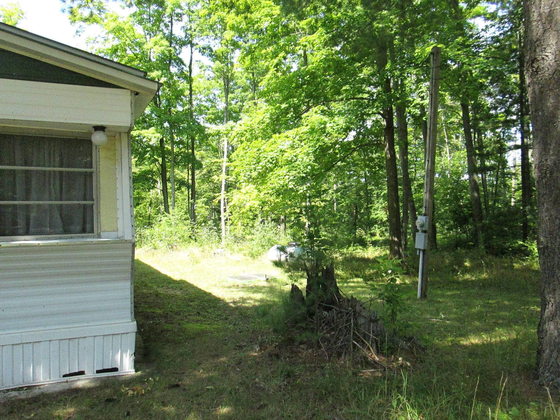 Comins, MI 48619,1810 Richard RD