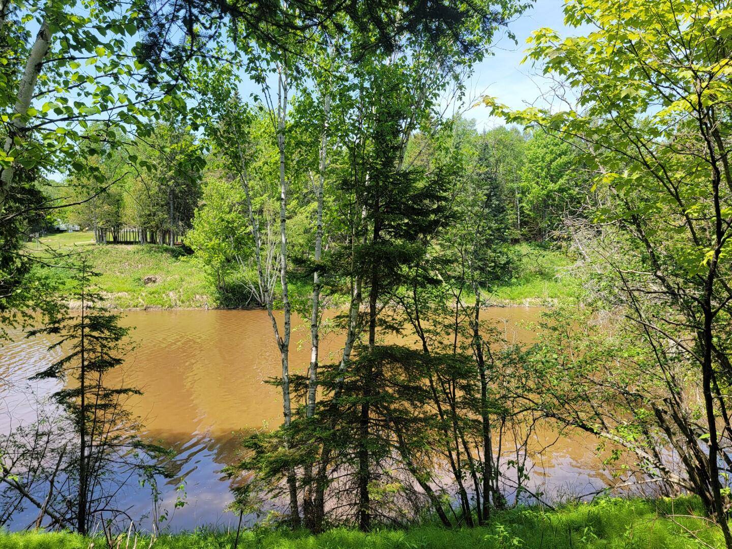 Hessel, MI 49745,5408 N Pine River RD