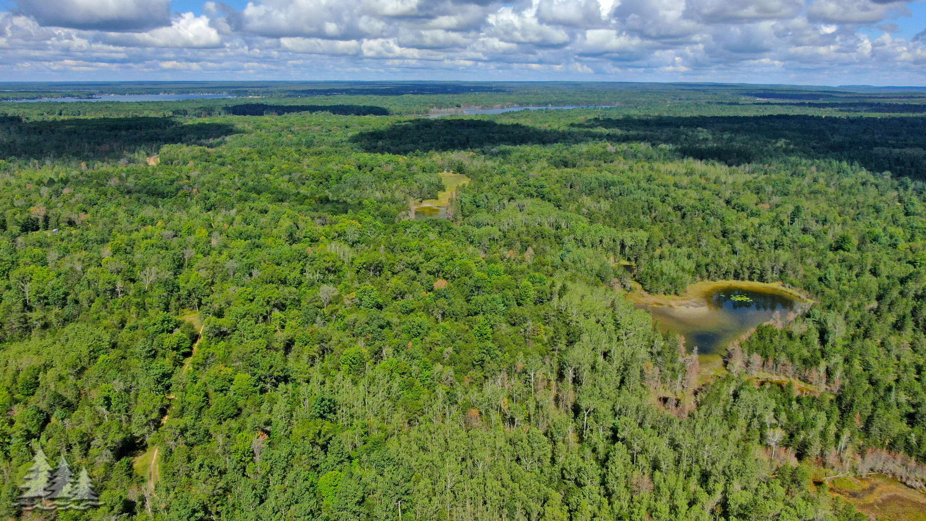 Lewiston, MI 49756,320 Acres Stickfort RD