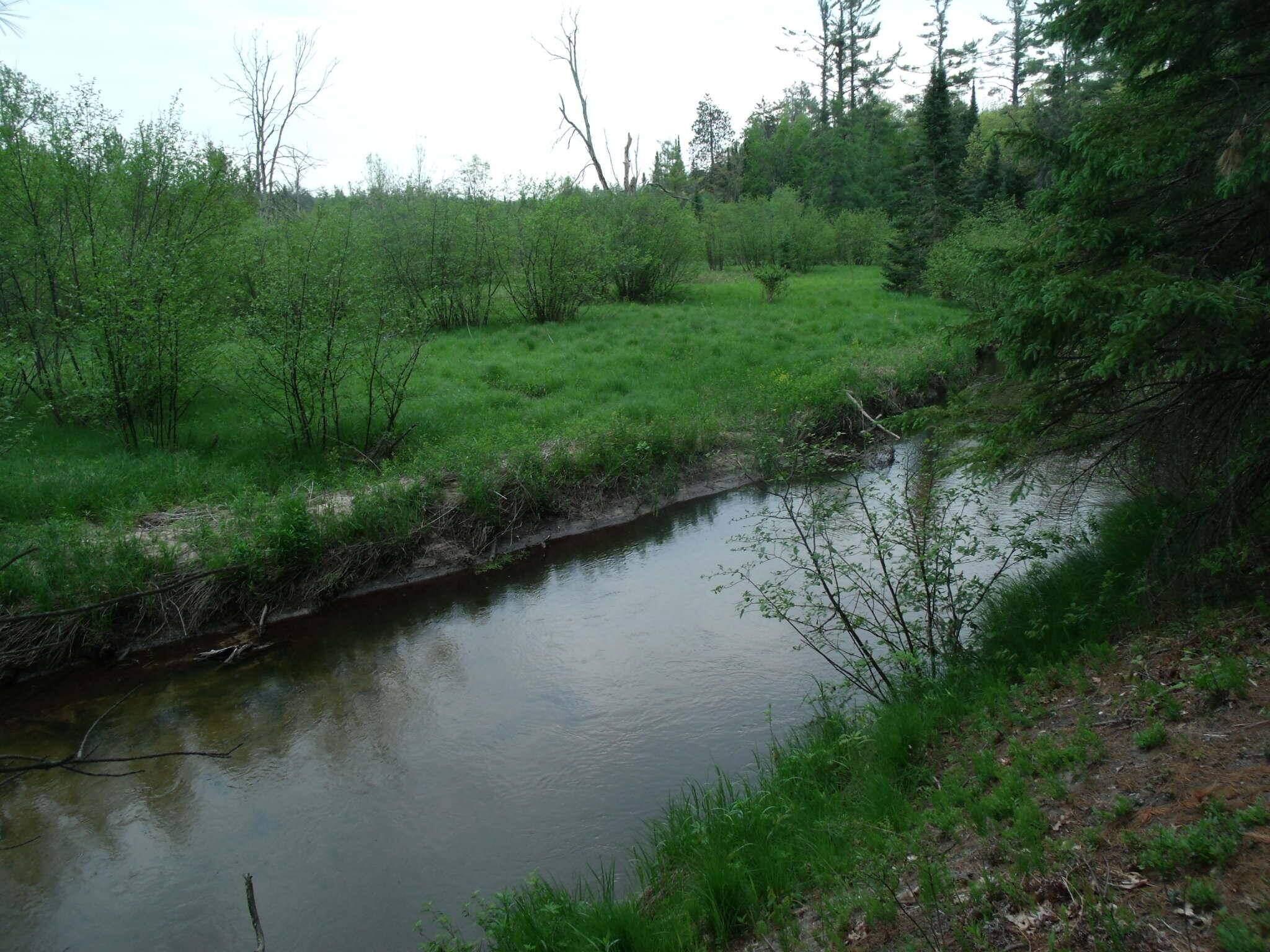 Indian River, MI 49749,Spikehorn TRL Parcel 17