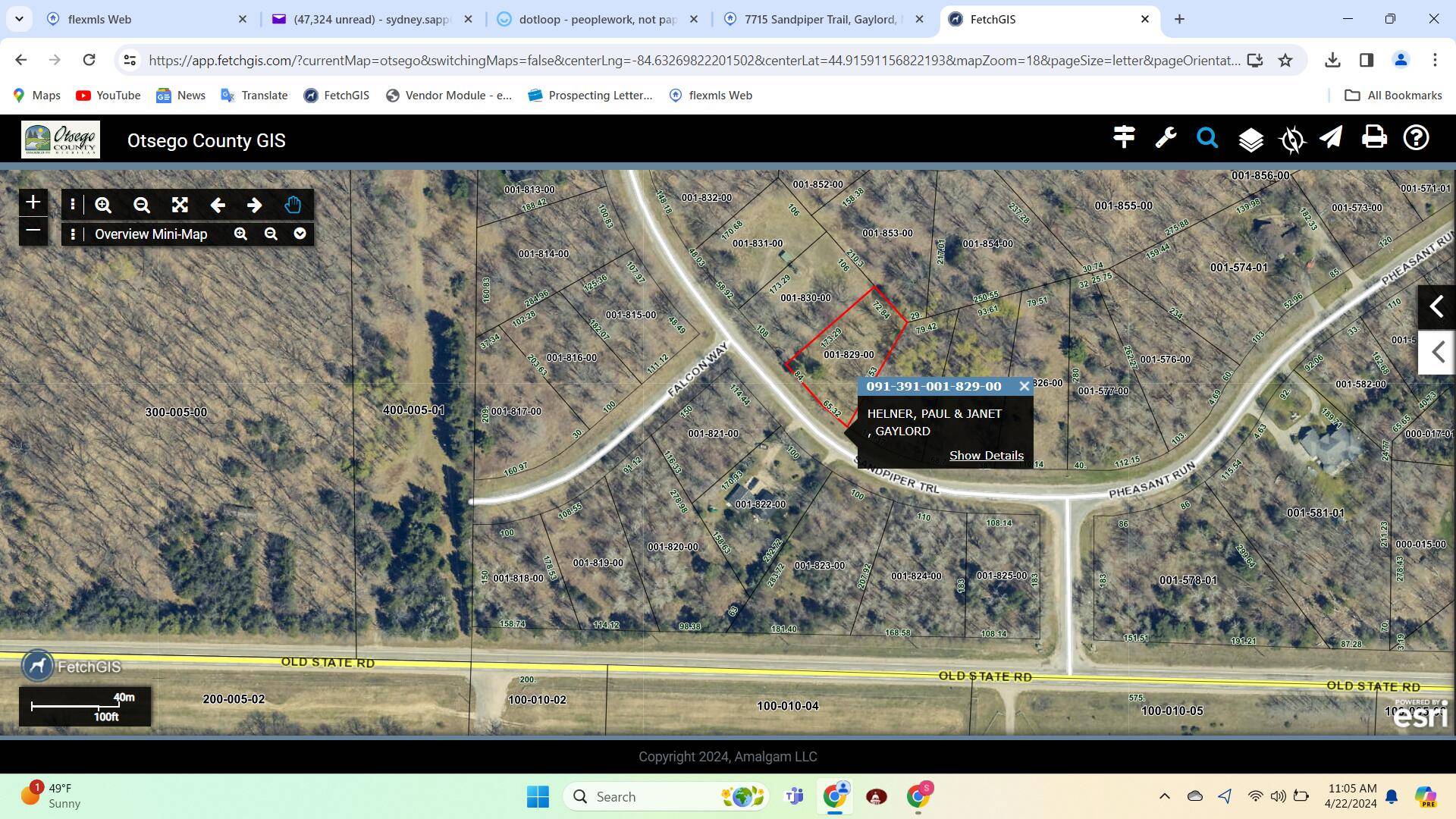 Gaylord, MI 49735,Lot 1829 Sandpiper TRL