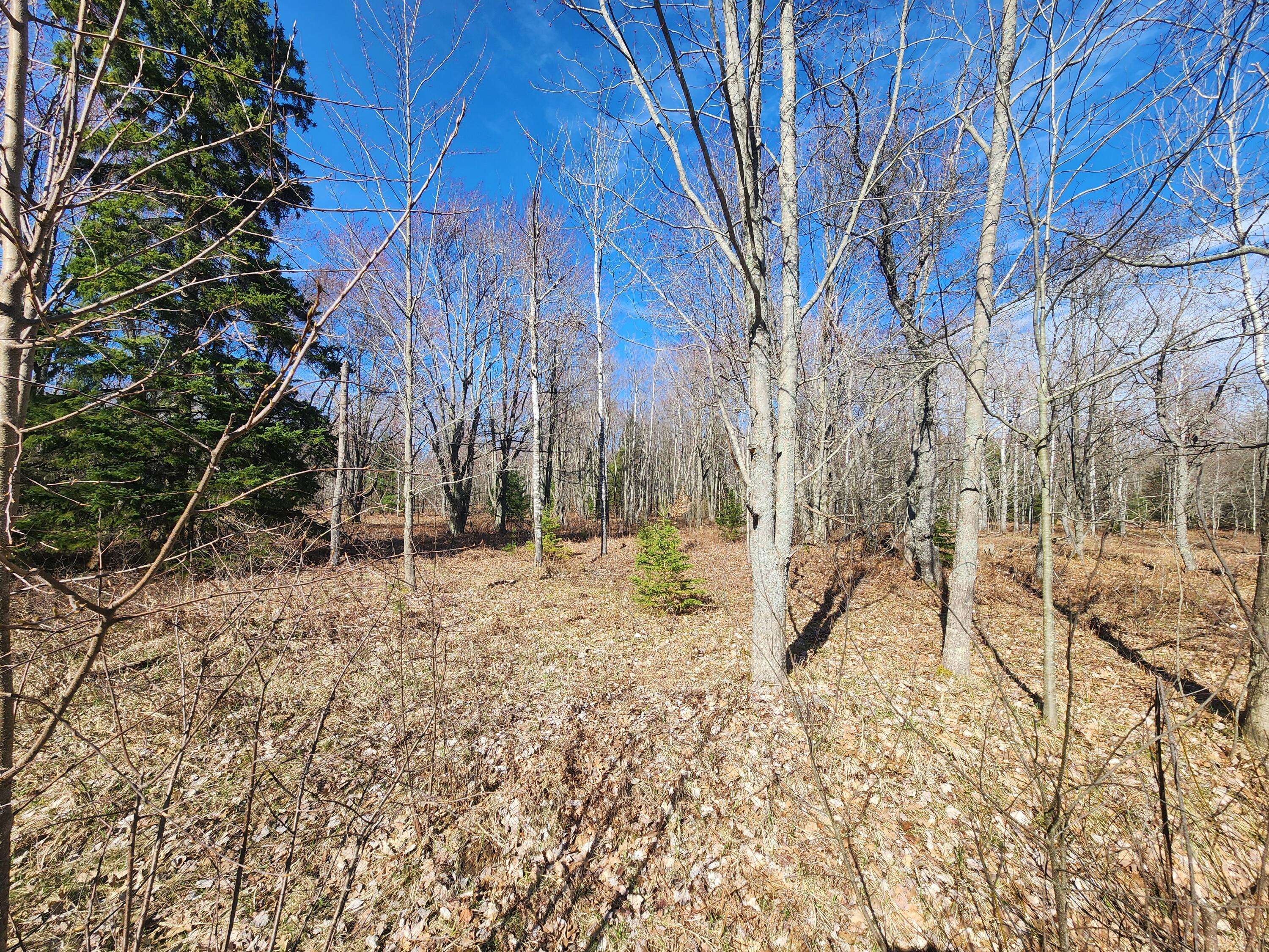 Gaylord, MI 49735,Lot 1829 Sandpiper TRL