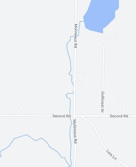 Wolverine, MI 49799,15319 Molineaux RD