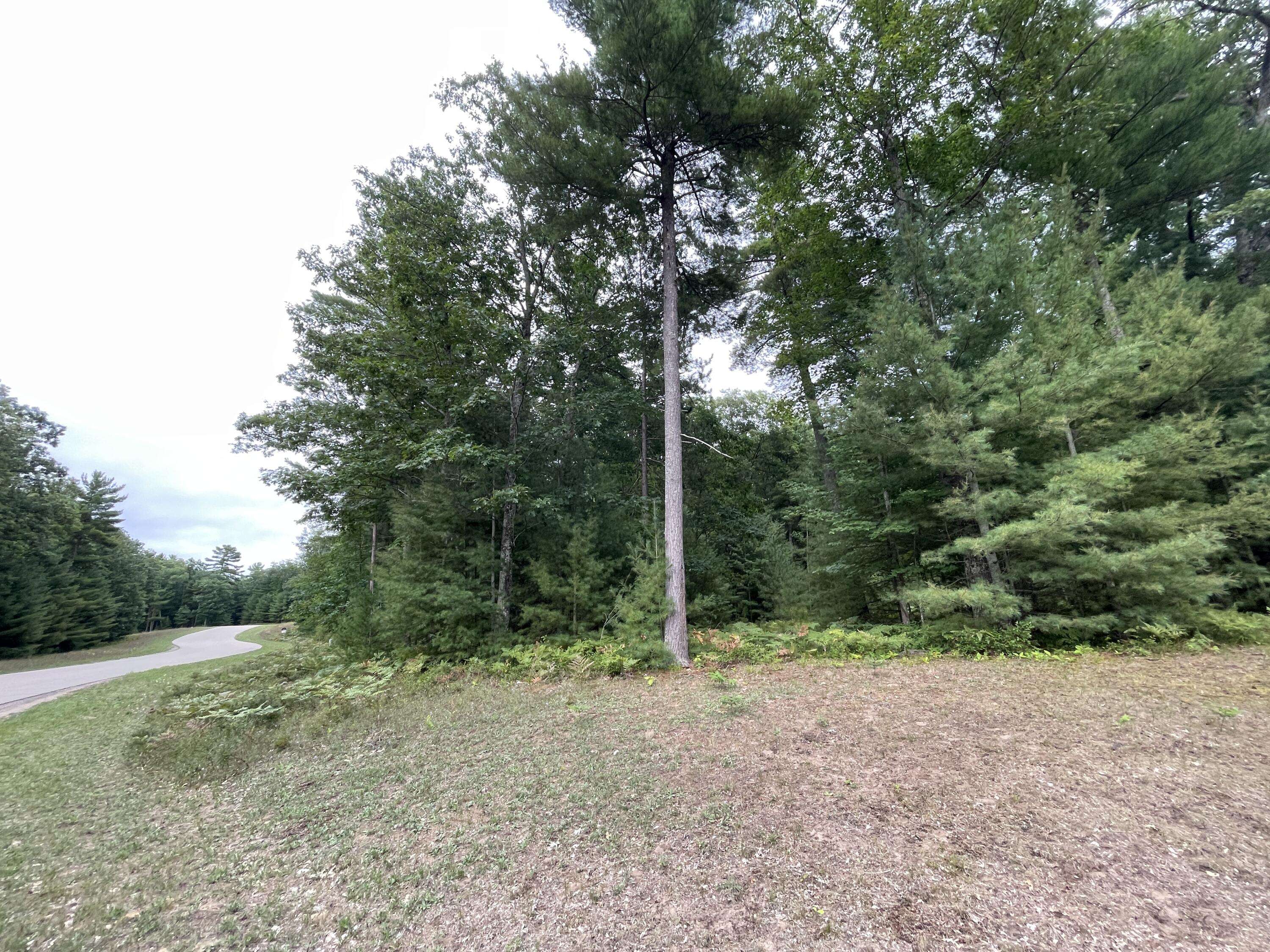 Indian River, MI 49749,6893 Sequoia DR