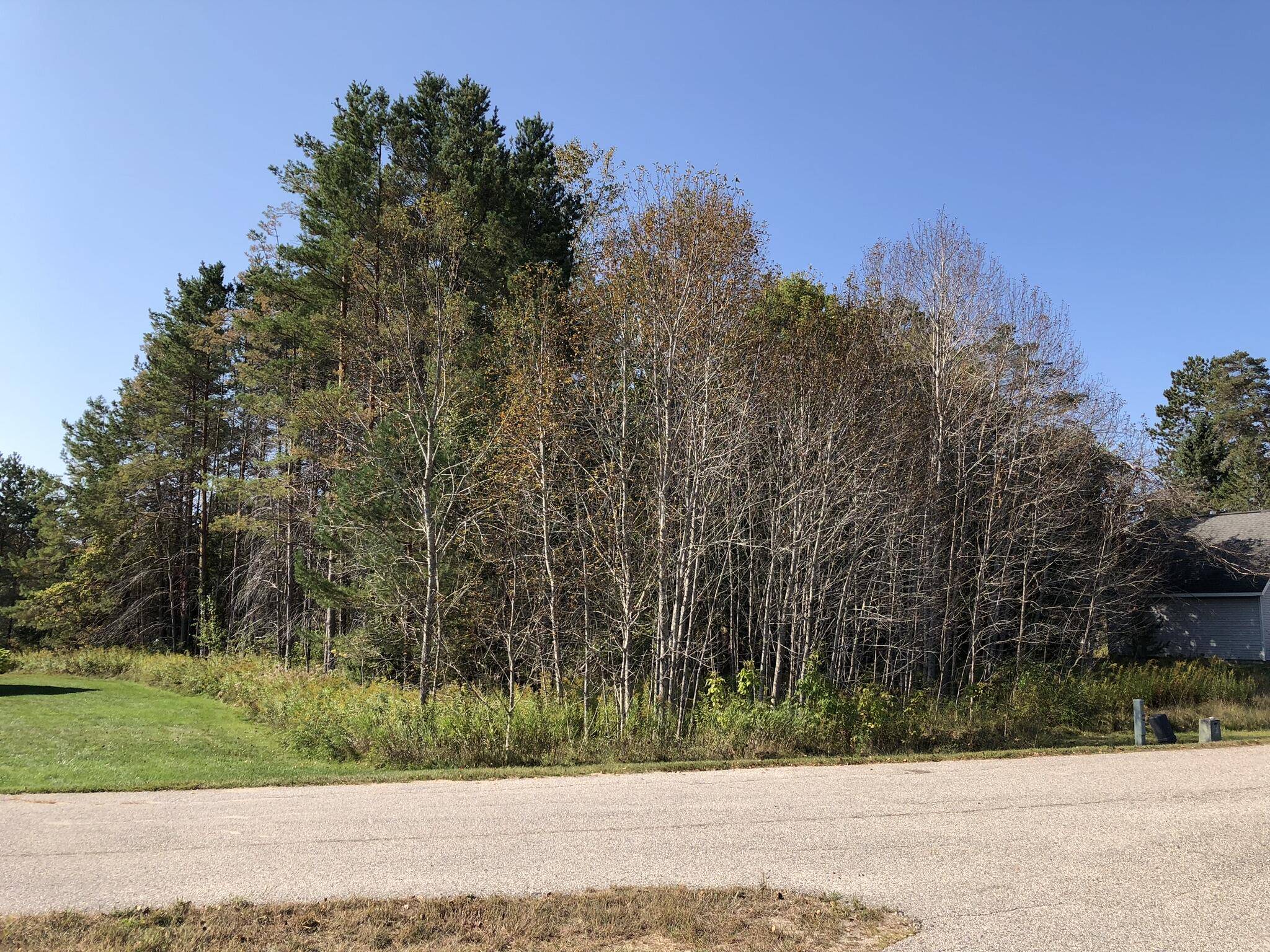 Alanson, MI 49706,6430 Admirals Point DR