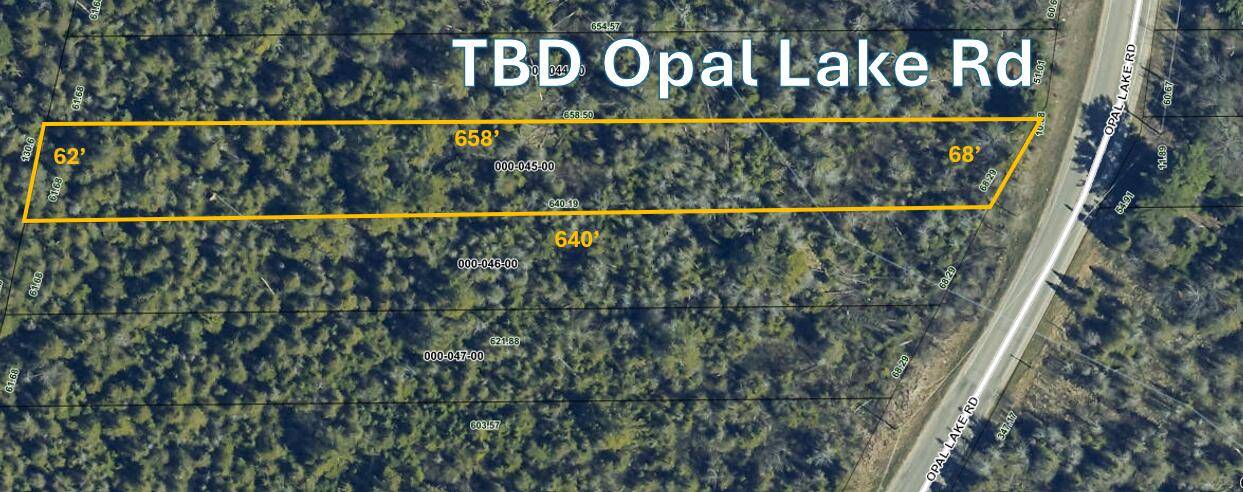 Gaylord, MI 49735,Opal Lake RD