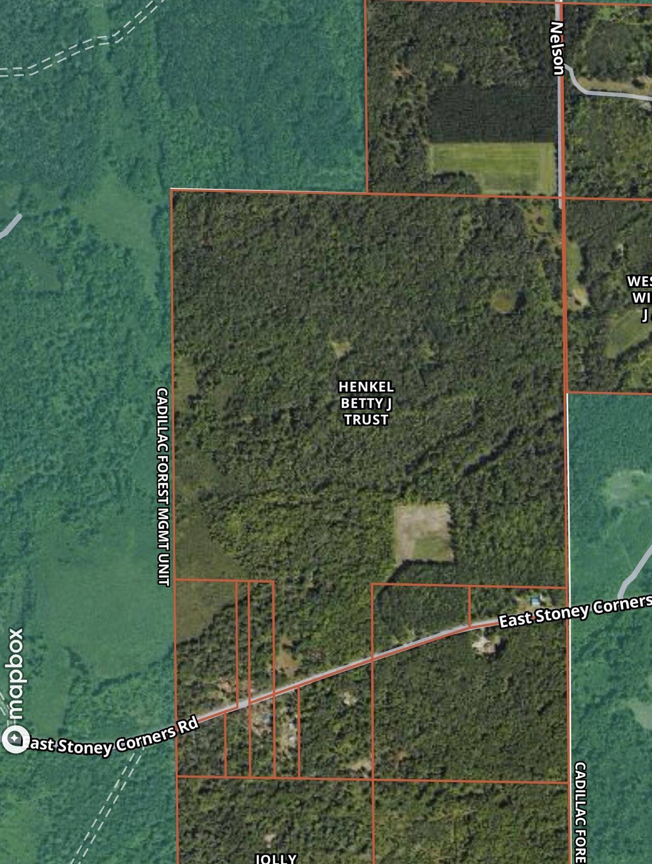 Falmouth, MI 49632,V/L E Stony Corners RD