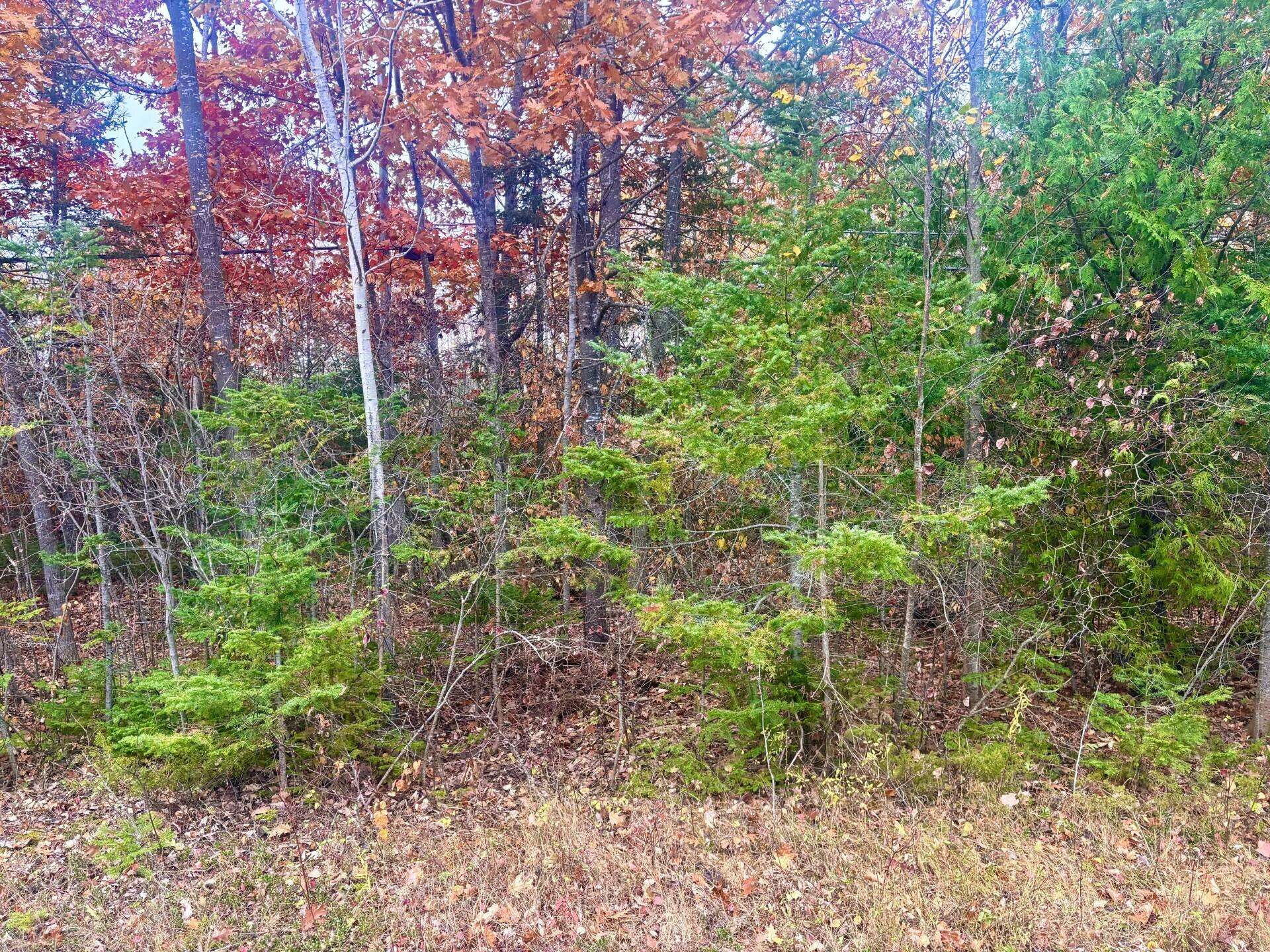 Presque Isle, MI 49777,Lot 45 Pine ST