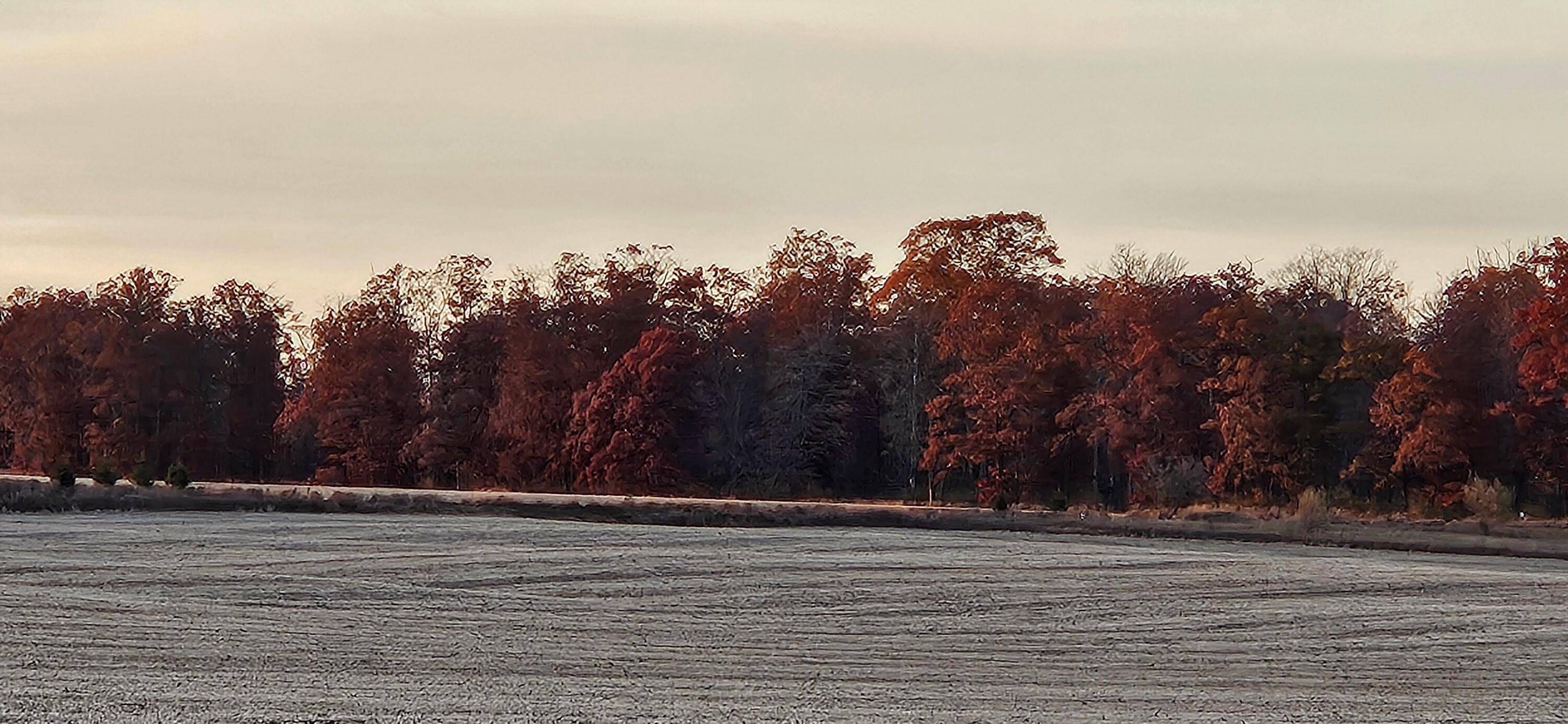 Lachine, MI 49753,NHN Beaver Lake Park RD