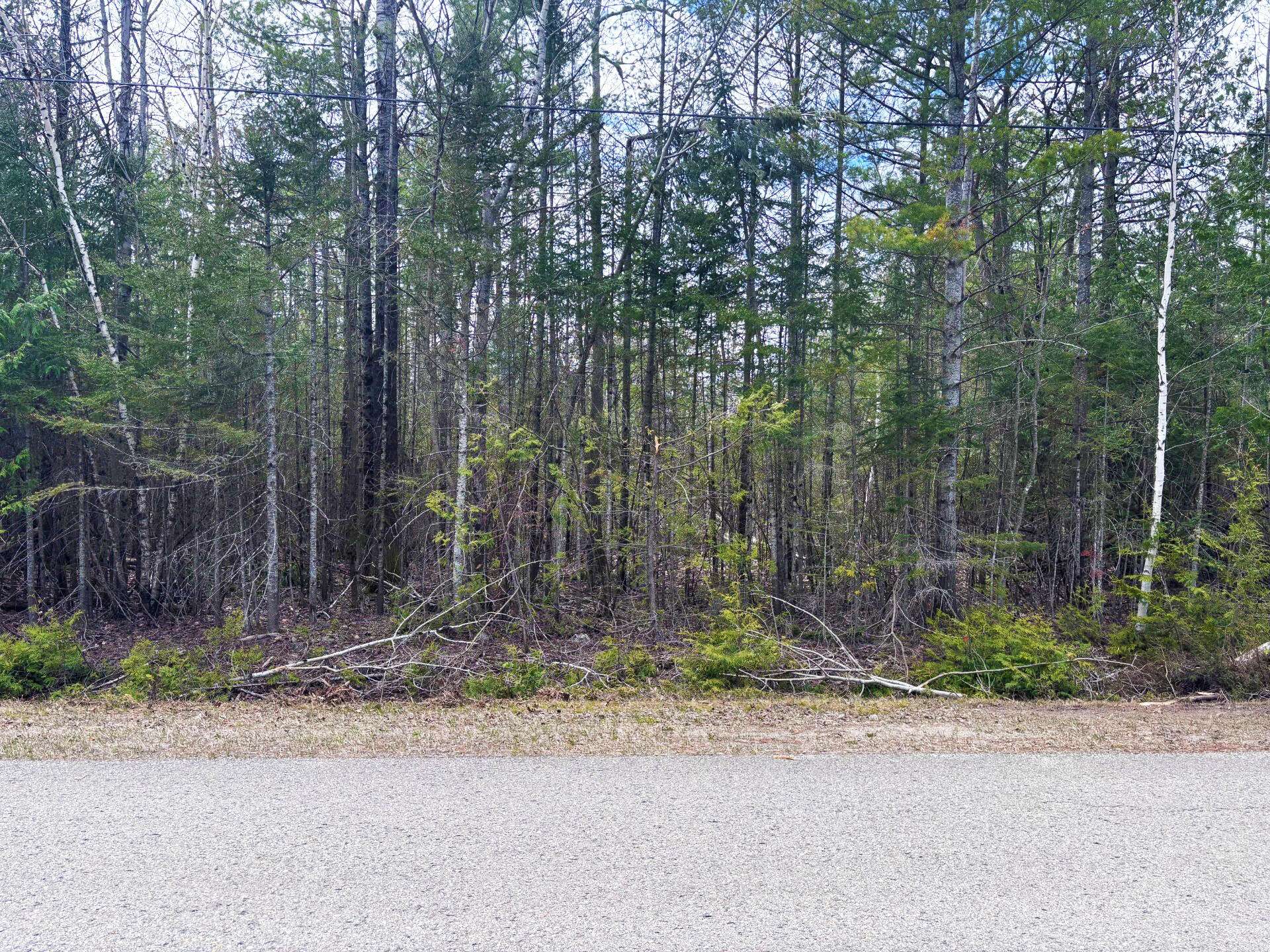 Presque Isle, MI 49777,Lot 249 Kauffman RD