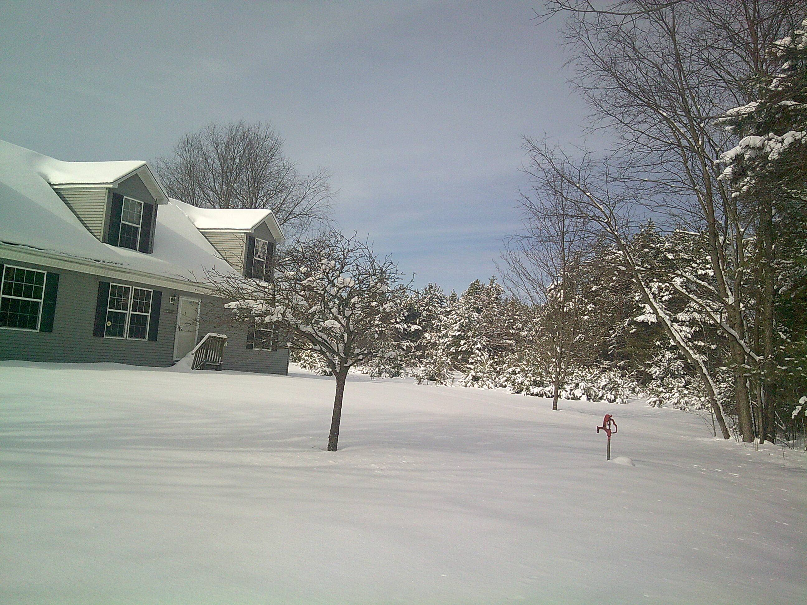 Copemish, MI 49625,15820 Harlan RD