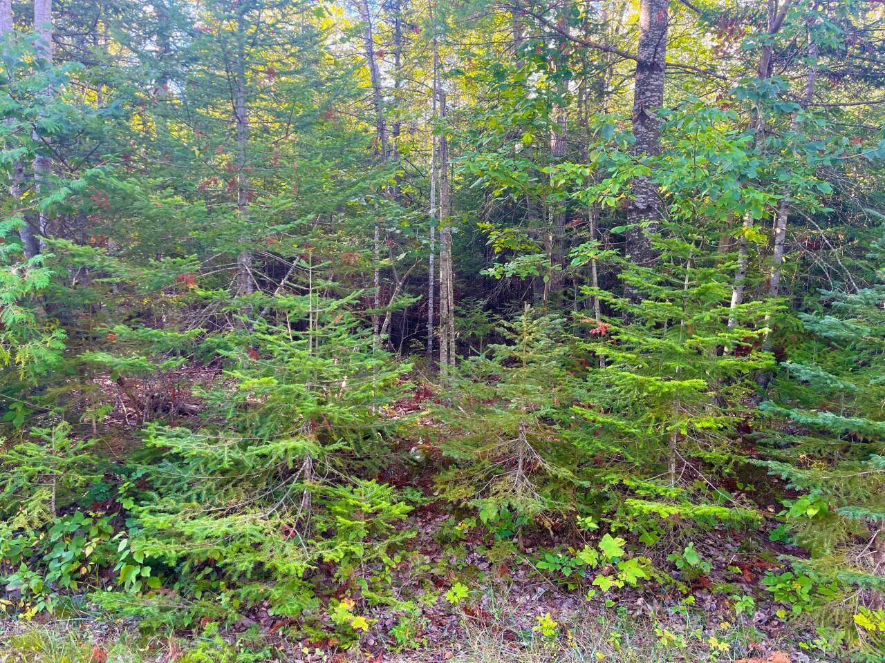 Presque Isle, MI 49777,Renwick CIR Lot 66 & 67