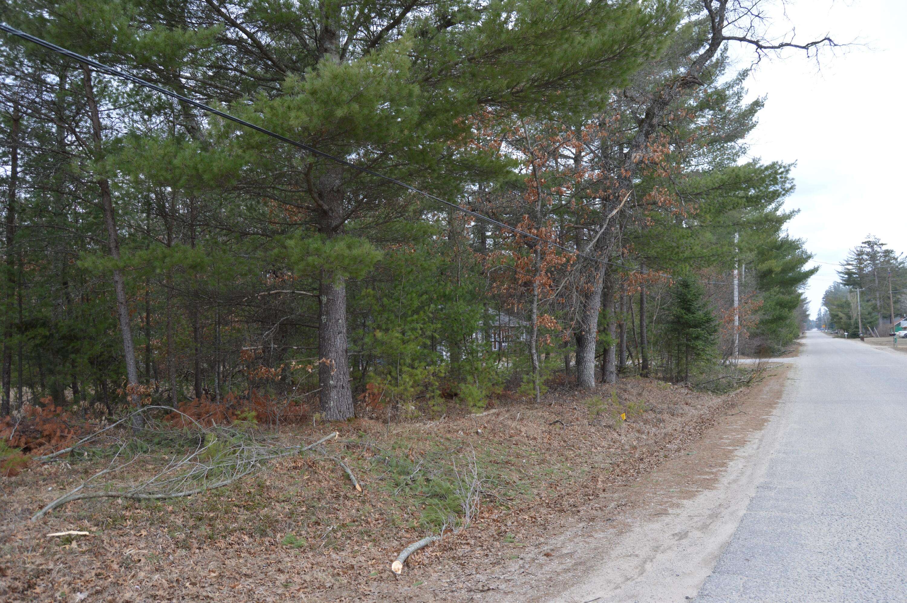 Mio, MI 48647,Lot #28 E Arthur Randall ST