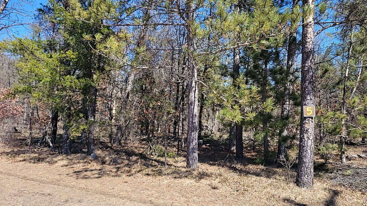 Grayling, MI 49738,5 Lumberjack CT
